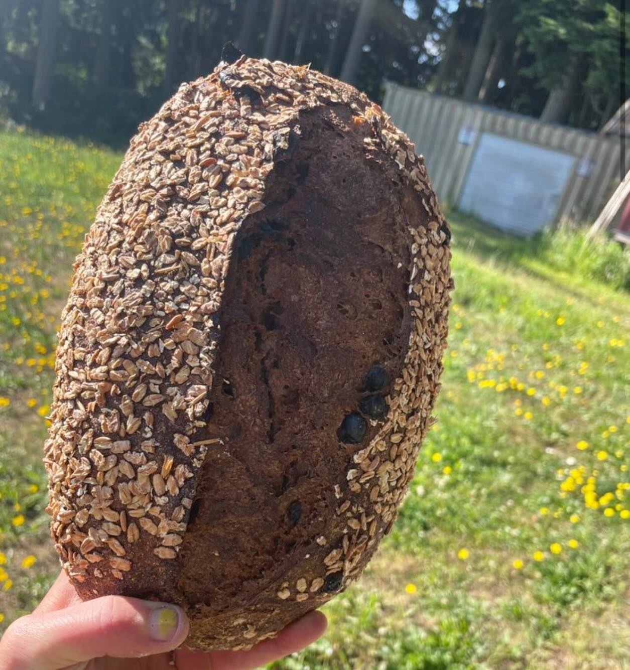 Hope you all have been enjoying the start to summer and are staying cool enough. Here at the bakery, we have been fighting the elements and earlier this week, on one of our hottest days yet, our walk-in fridge, where we cold proof all our bread, deci