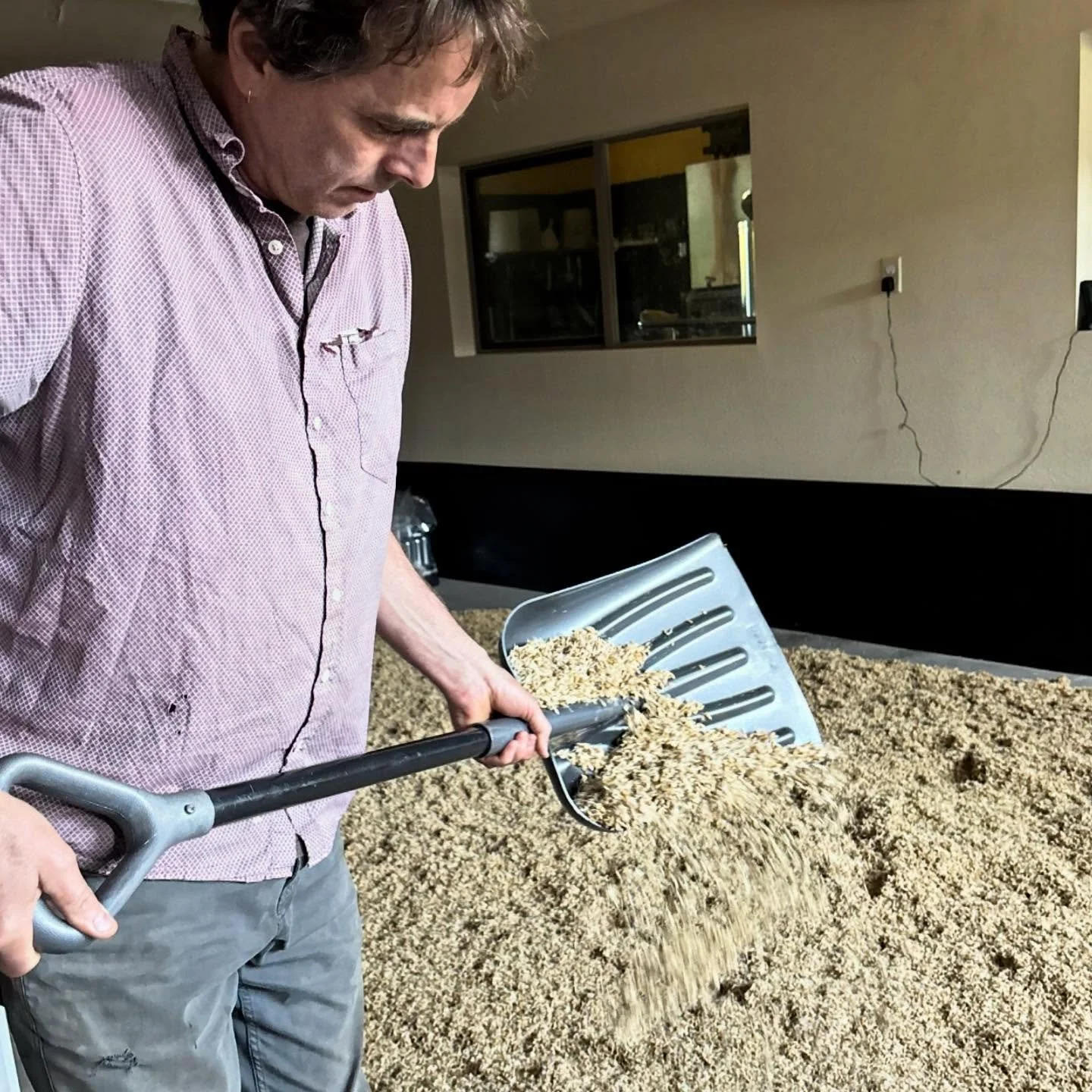 Malting man turning the barley 🌿