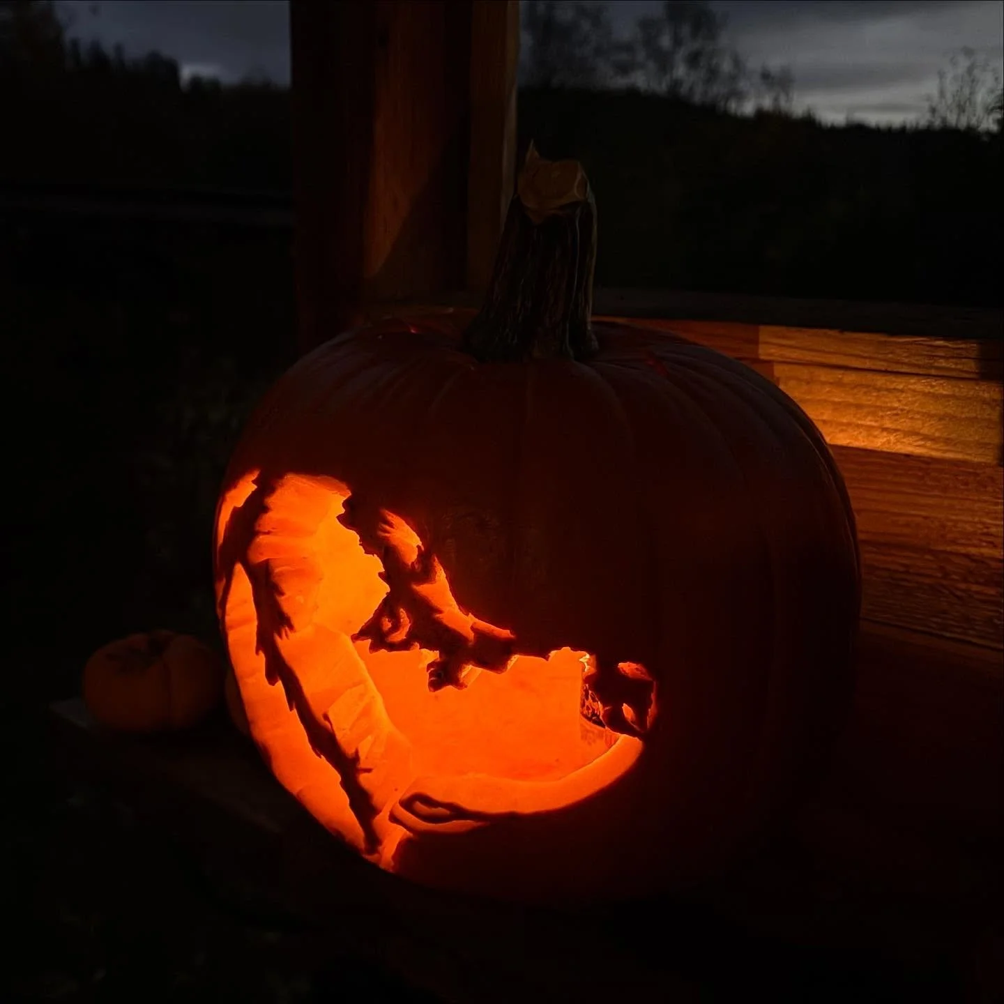 When our brilliant, creative neighbor carves a portrait of our pooch into the pumpkin!

💚🎃🐕

@azure_designs_