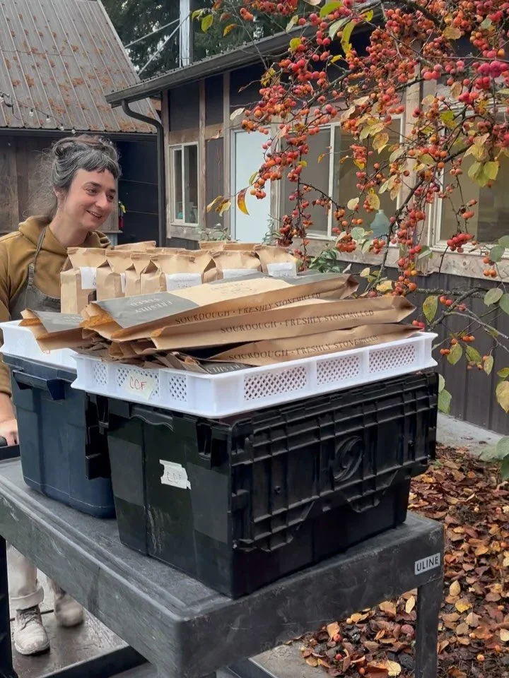 Big day for bakers! Three carts of loaves and a truck full of flour, making their way out on the local delivery route. Hope all the bakers out there get a good foot rub and hot tub, or whatever else offers ease and relief! Thanks for feeding people!