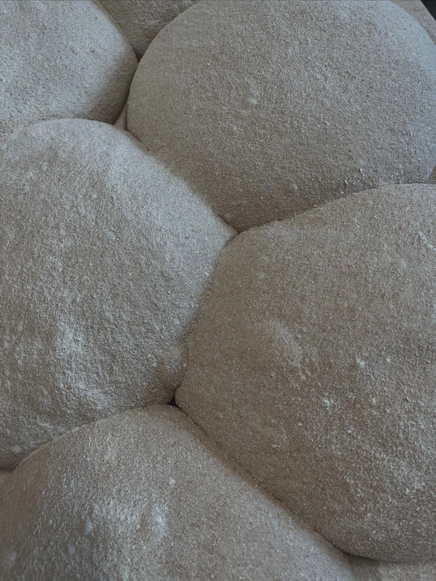 Bakery shaping up the 72 hour sour @thedustedstone