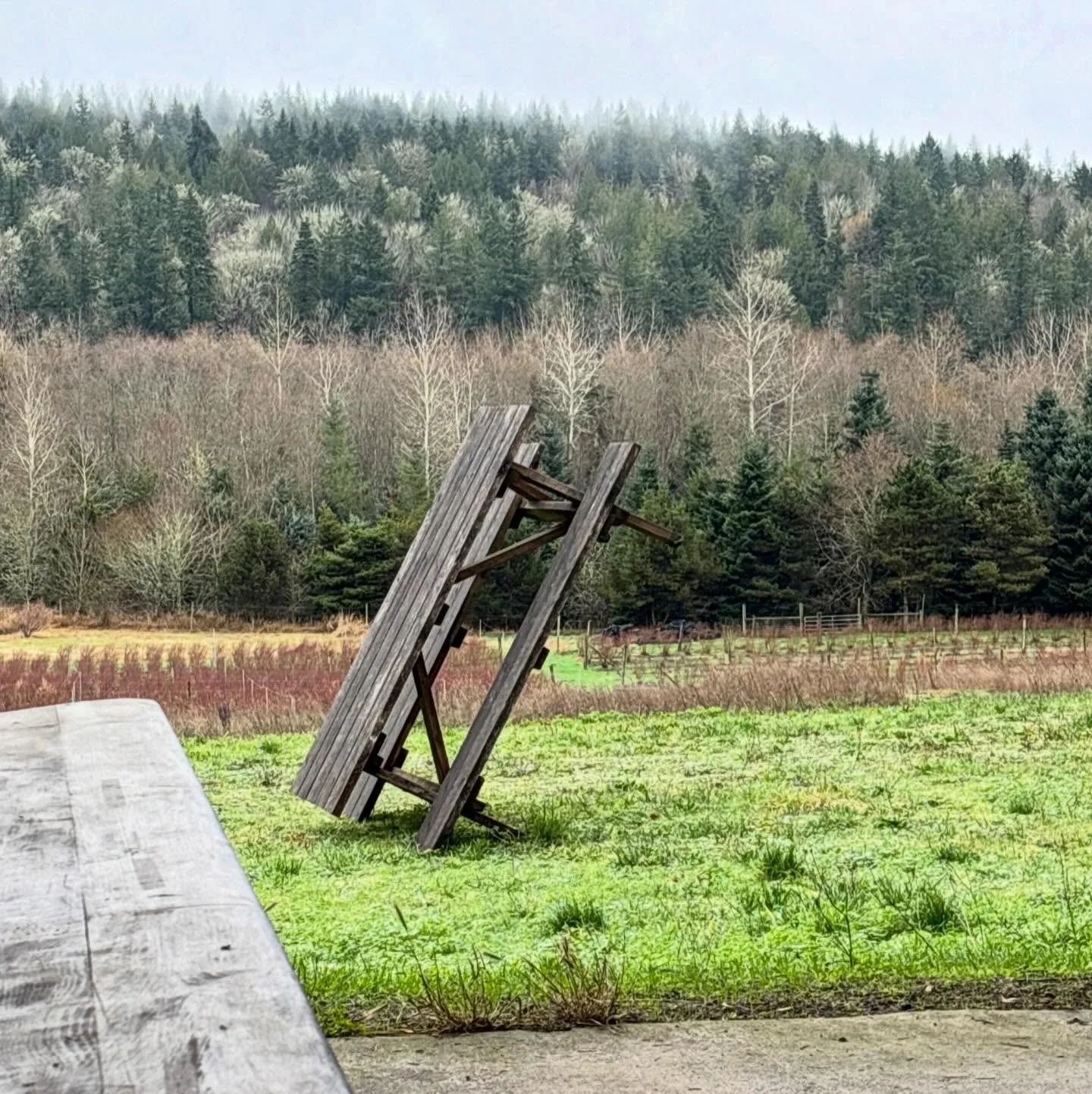 Just wanted to reach out with commiseration and care for all of the farmers and families in the PNW who are dealing with wild flooding right now. Living close to the land and seasons means having respect and humility in the face of Nature&rsquo;s pow