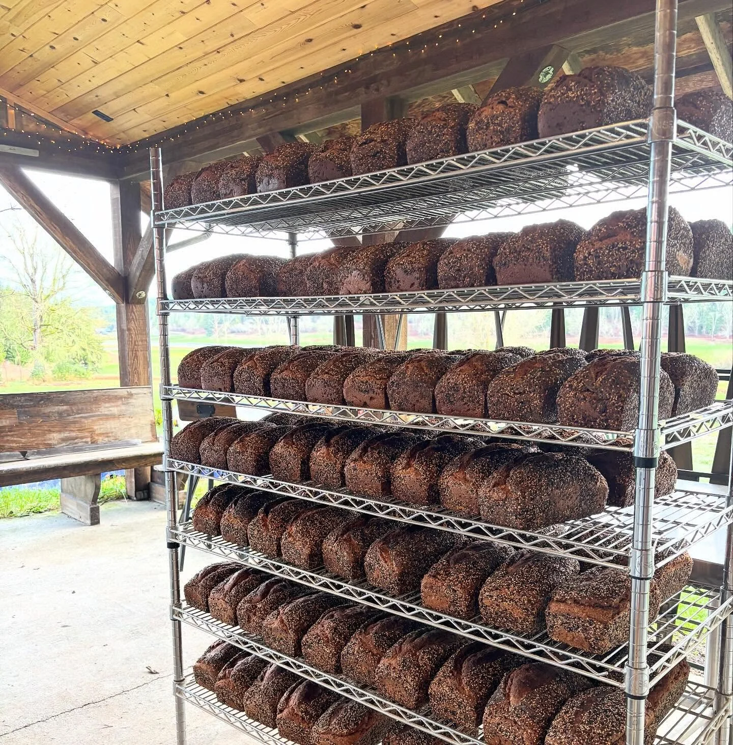 OK, Pete is hustling to get the last load of sandwich loaves baked and out there! Sam will be delivering beer and bread into Port Townsend today. Keith is headed to Seattle with flour milled to order. Hoping folks have great holiday baking and eating