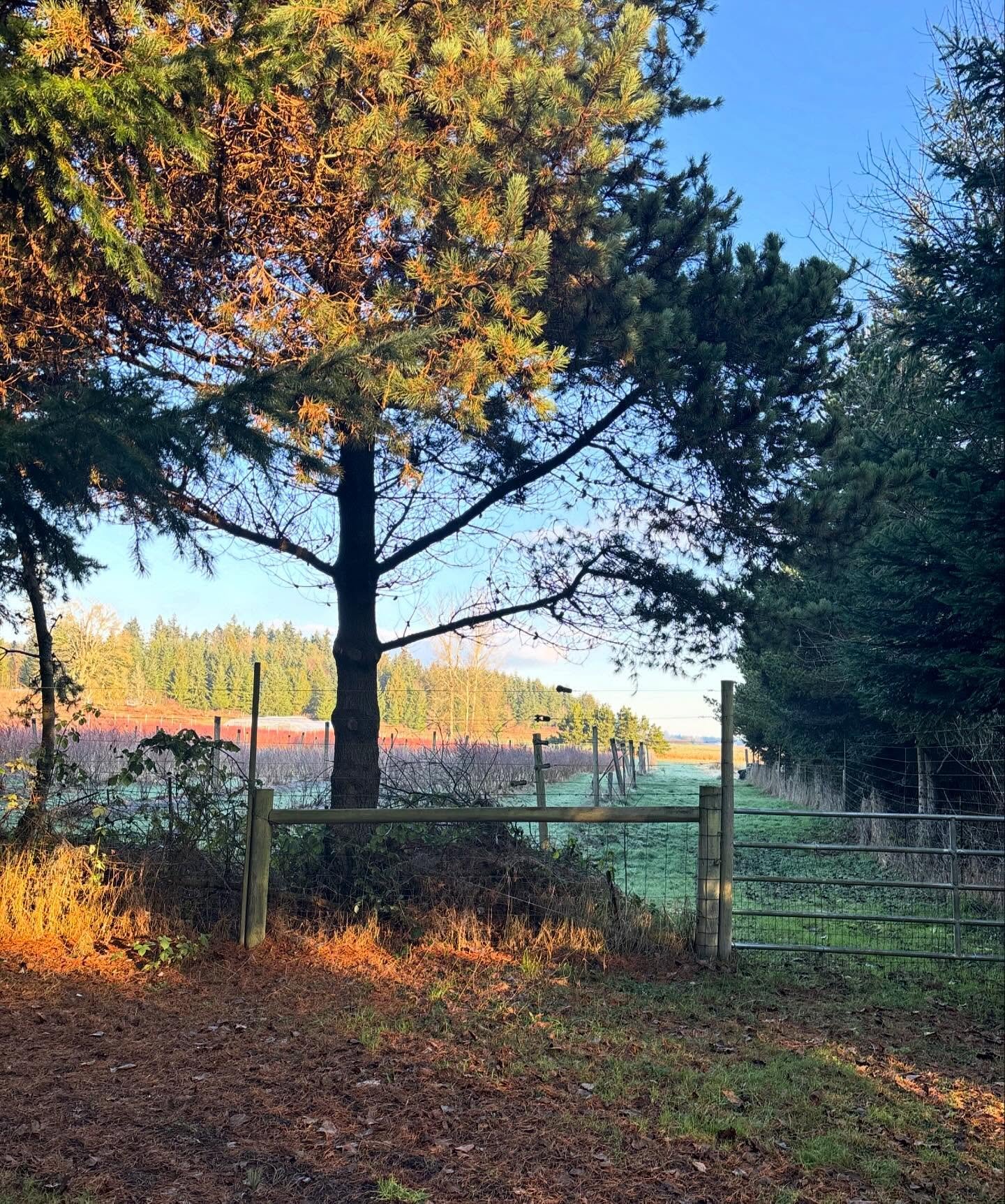 This winter, this weather&hellip; Well, among all the things happening, we&rsquo;re in the process of trying to recruit and hire a new baker. While we&rsquo;re working through this process, we wanted to let you know that we&rsquo;re having to compres