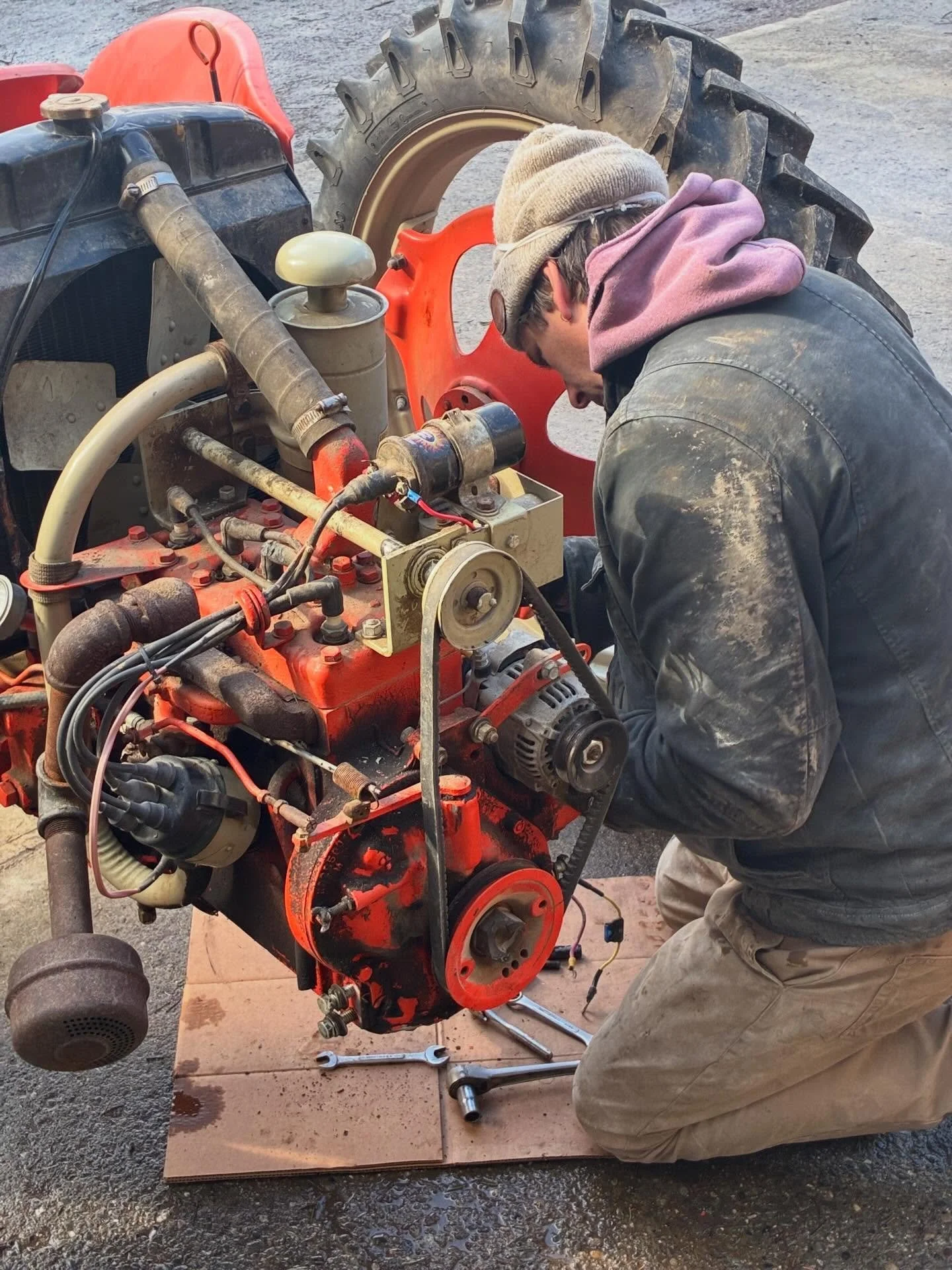 Putting a new clutch and pressure plate, and rebuilt starter, into the Allis Chalmers 1952-ish. Pre-season maintenance!