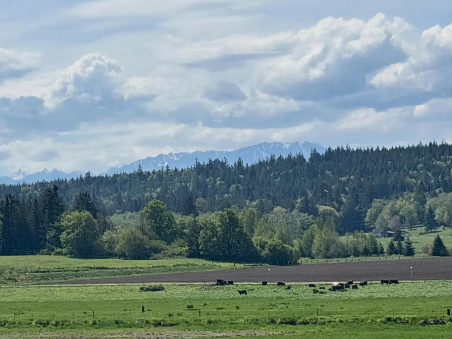 Hoping you can taste the beauty of this land in the bread&hellip;