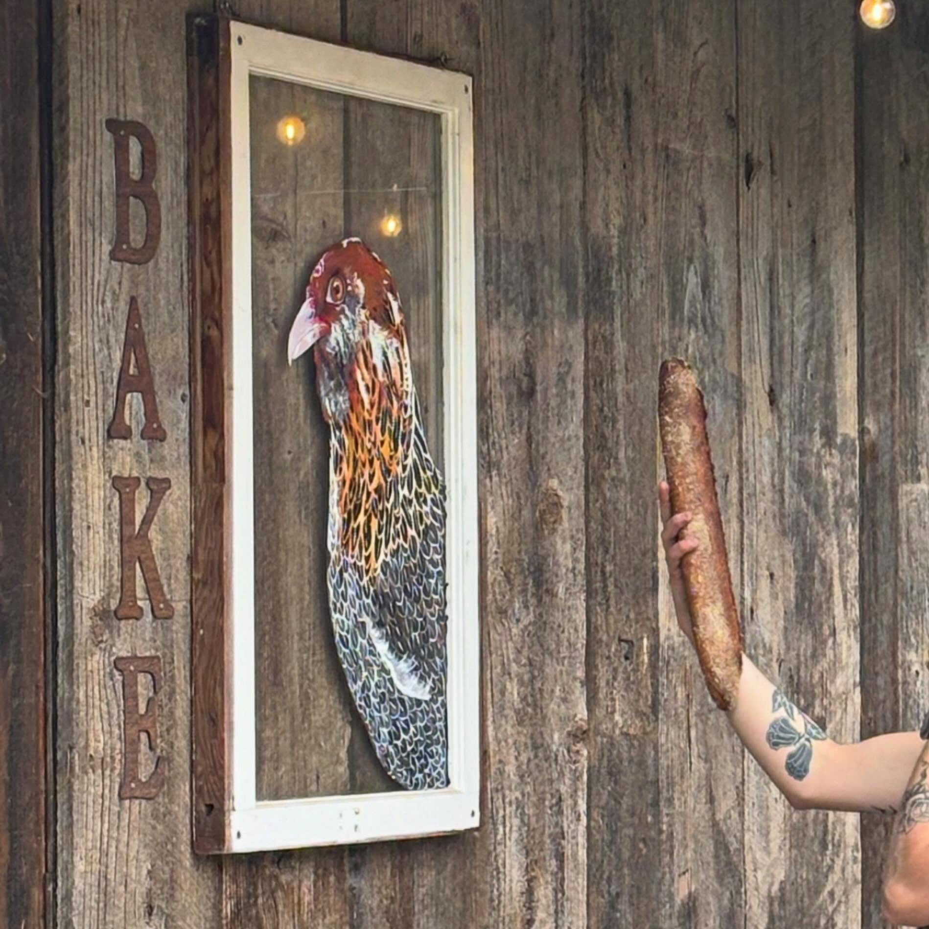 Portrait of a portrait of a chicken and a baguette 🐔 @hillbillybread