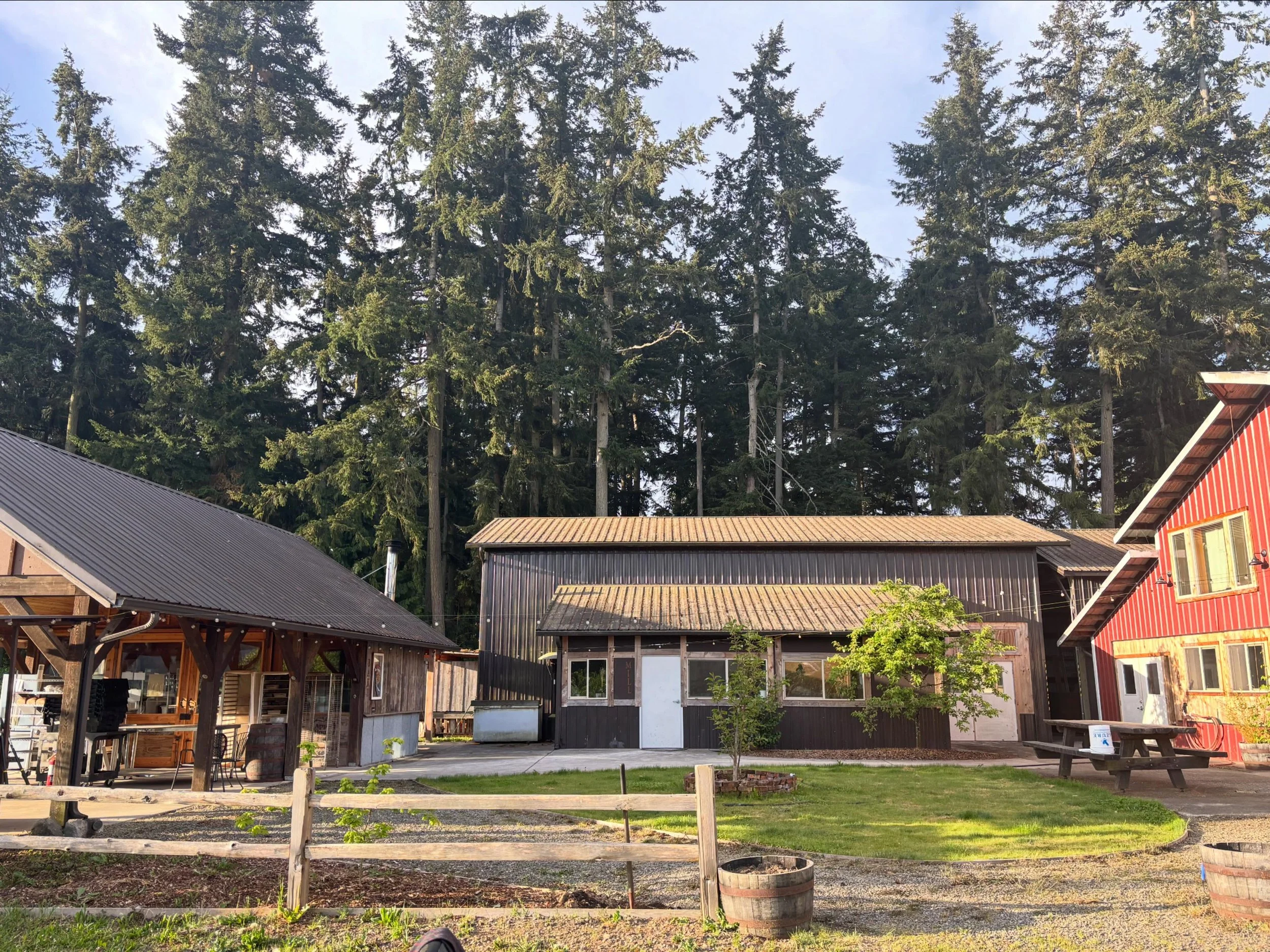 Grainery overview. From left to right&mdash; 
Woodfired bakery and workshop pavilion, (middle brown barn) stone-milling barn and pack shed, (red barn) floor-malting room, and brewery. Quiet pose before the bustle of the day begins&hellip; although, t