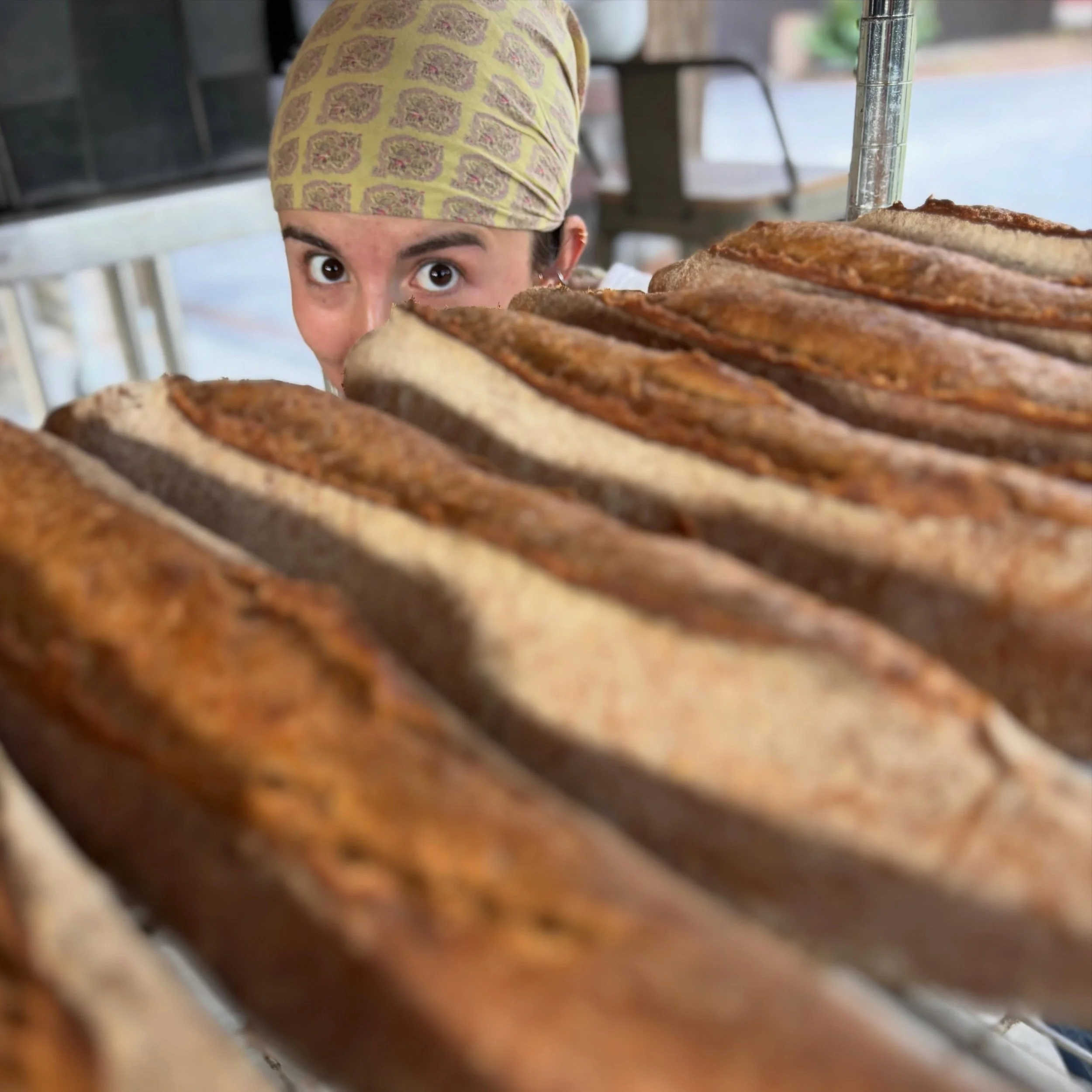 Baguette packing photo bomb&hellip;
 @hillbillybread