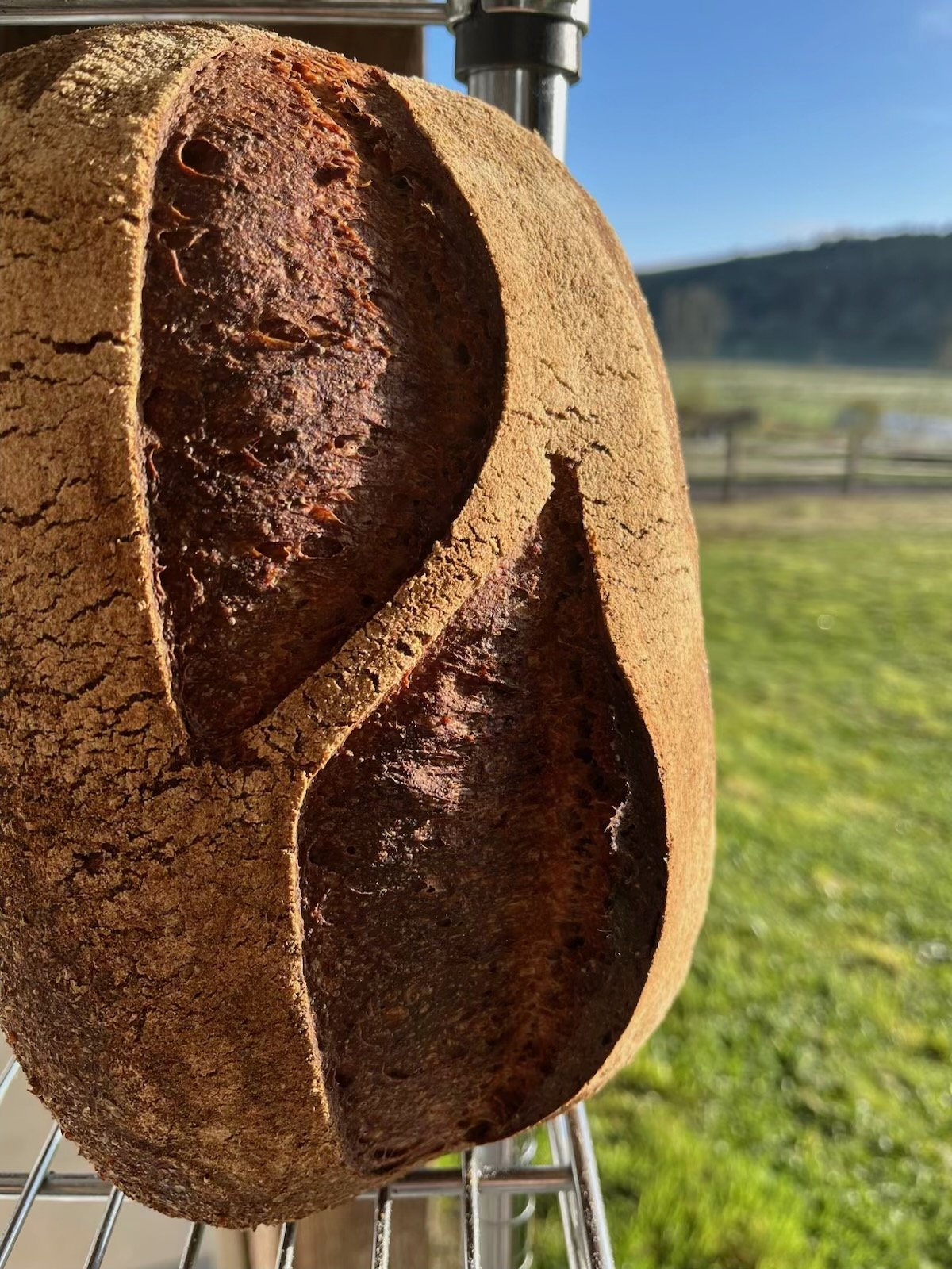 Jefferson Healthcare BREAD SHARE SUBSCRIPTION (JEFFERSON HEALTHCARE PICKUP)