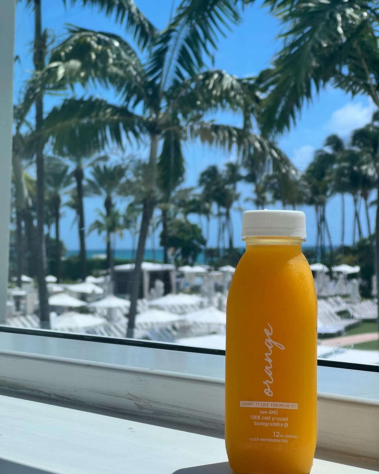 Catching some sun at the iconic Fontainebleau Miami Beach.