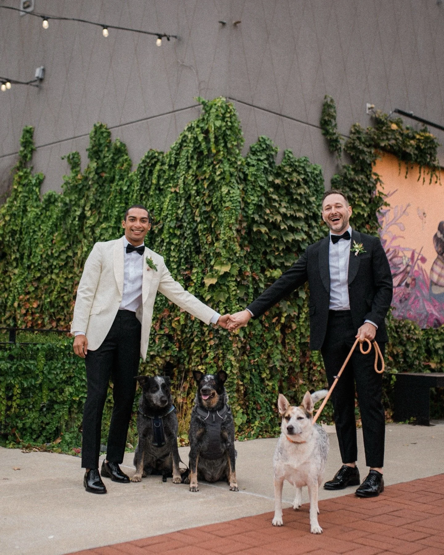 Want to include your fur babies in your ceremony? Here are some things to consider:

1. Get permission from the venue. Some venues do not allow animals.

2. Assign someone to be in charge for the animals for the day. You can even hire someone to do t