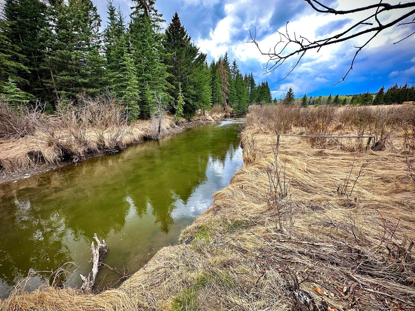 View from the Barocco forest. 
#livebeautifully #livesimply