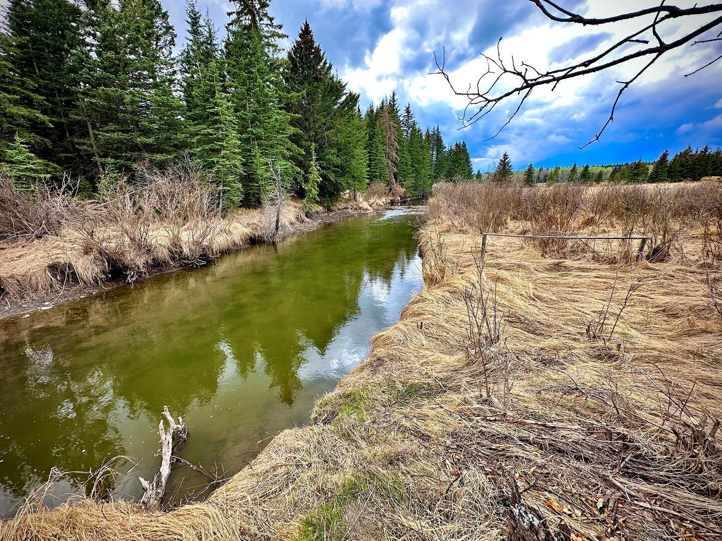 View from the Barocco forest. 

#livebeautifully #livesimply