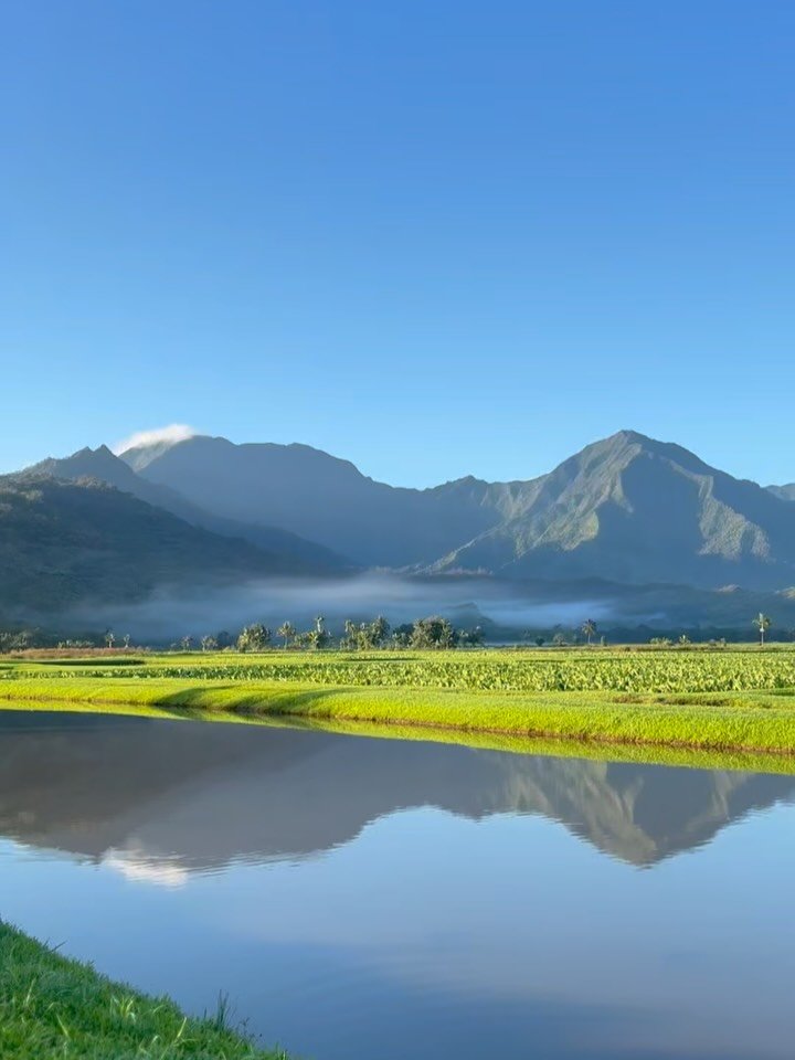 There&rsquo;s no place like home 

#thismorning 
#heavenonearth 
#mahalokeakua