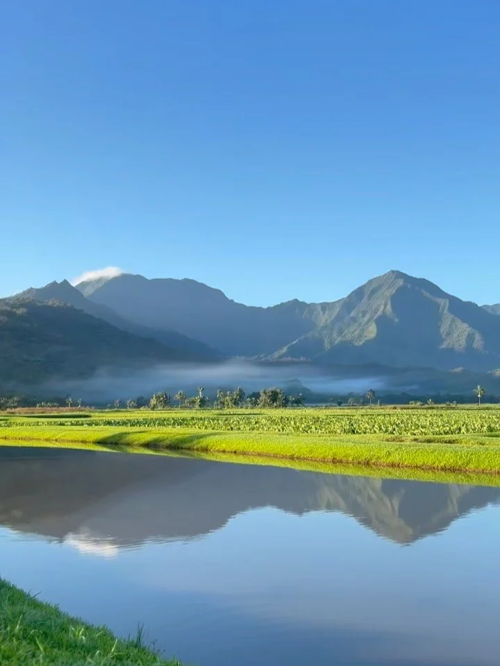 There&rsquo;s no place like home 

#thismorning 
#heavenonearth 
#mahalokeakua