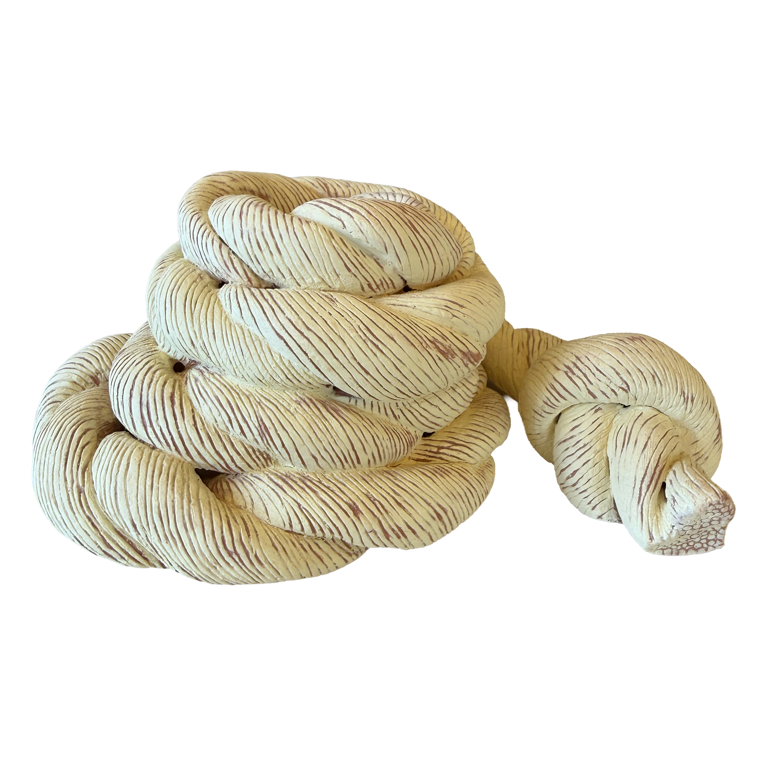 10. Rope Study I (2025)