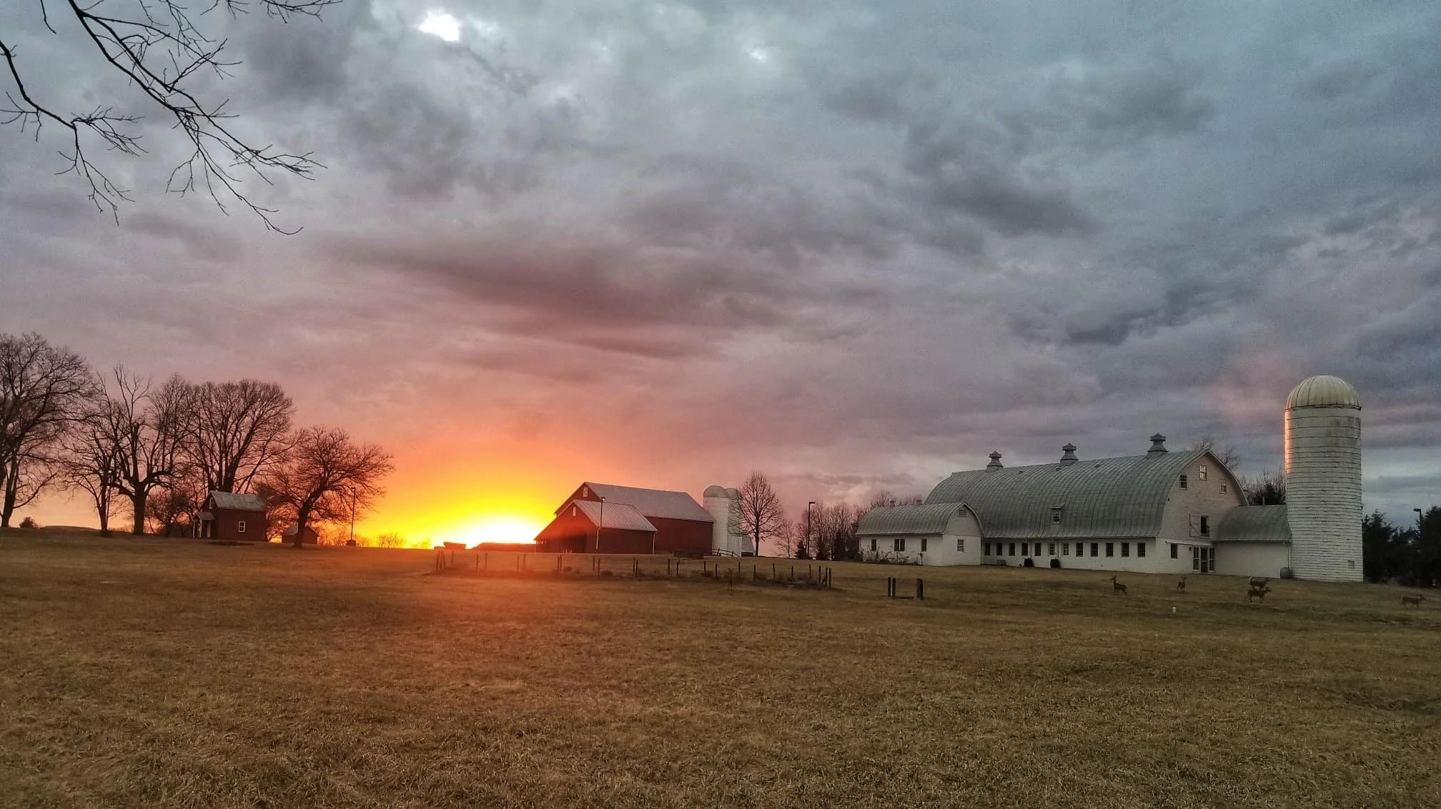 SCA’s Linden Farm in Dickerson, MD