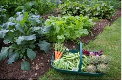 Sugarloaf Citizens Association 11th Annual Midwinter Garden Dreams