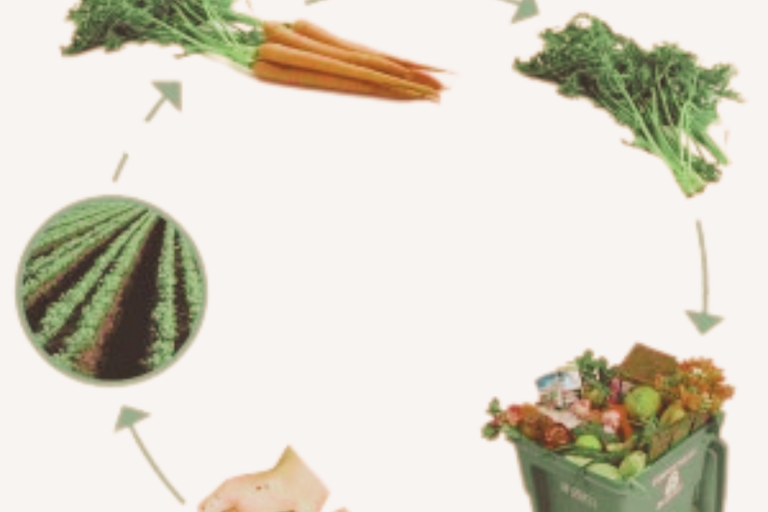 County Enhances Food Compost Effort