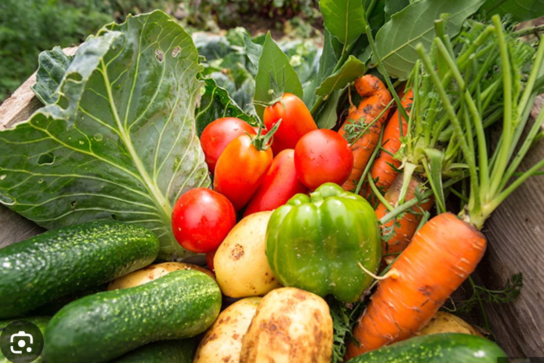 Our Unfolding Food Emergency