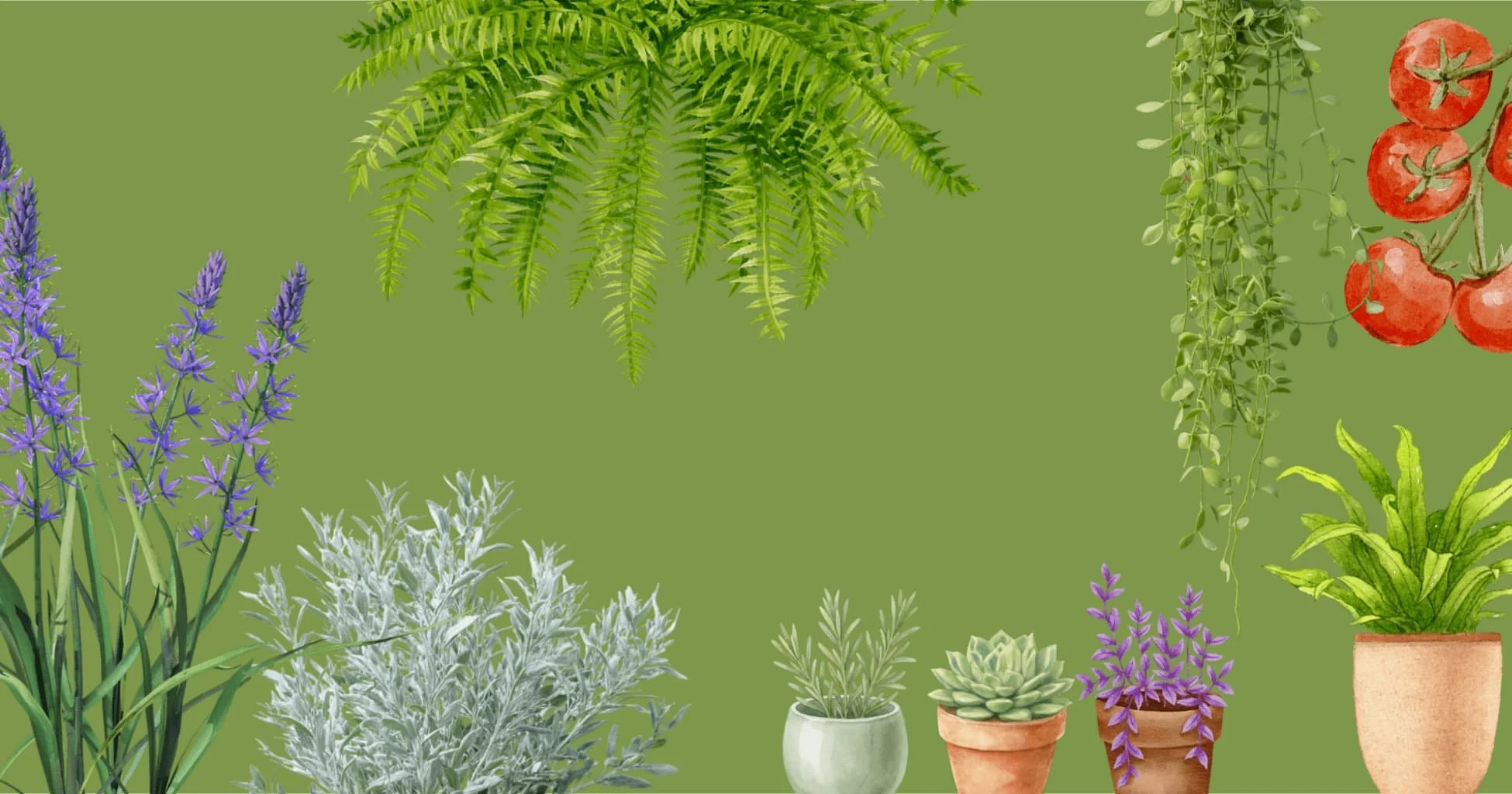 sca-plant-swap-bkgd.jpg