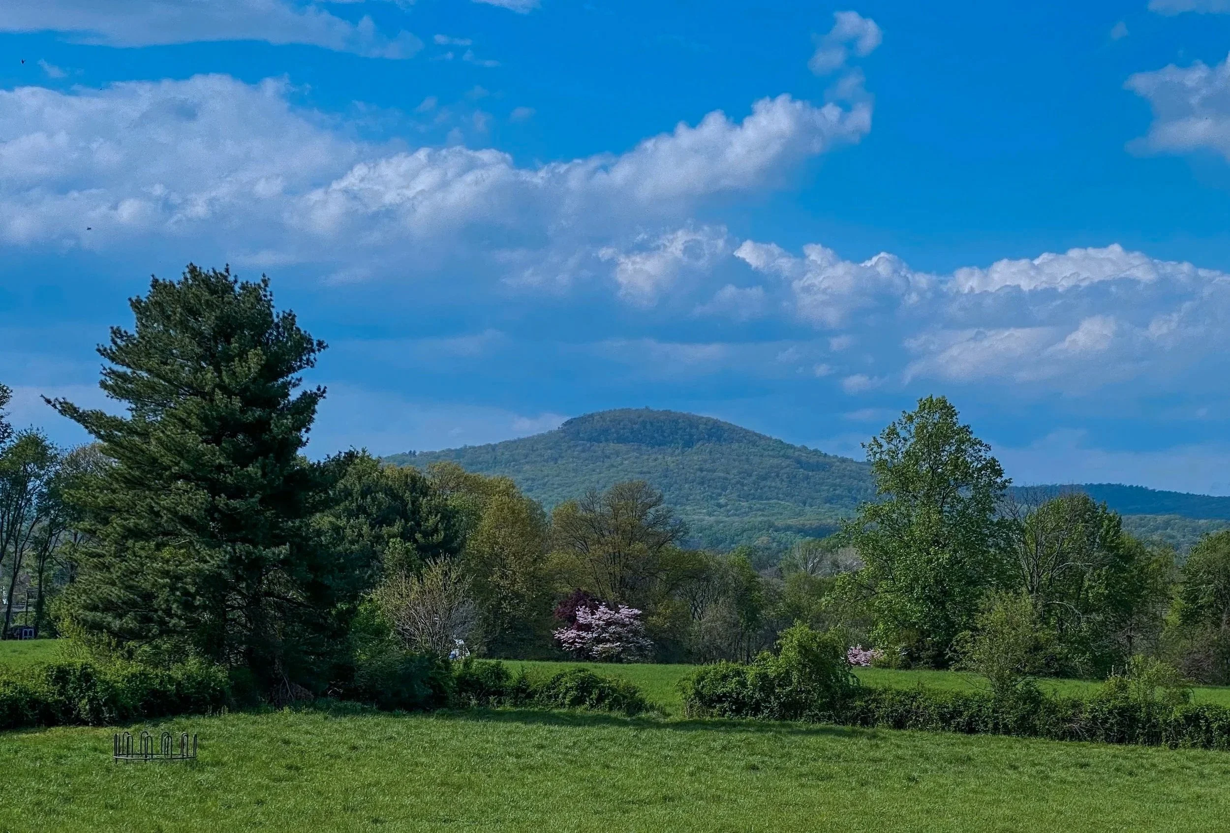 Sugarloaf_spring.jpg
