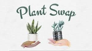 SCA’s Annual Plant Swap