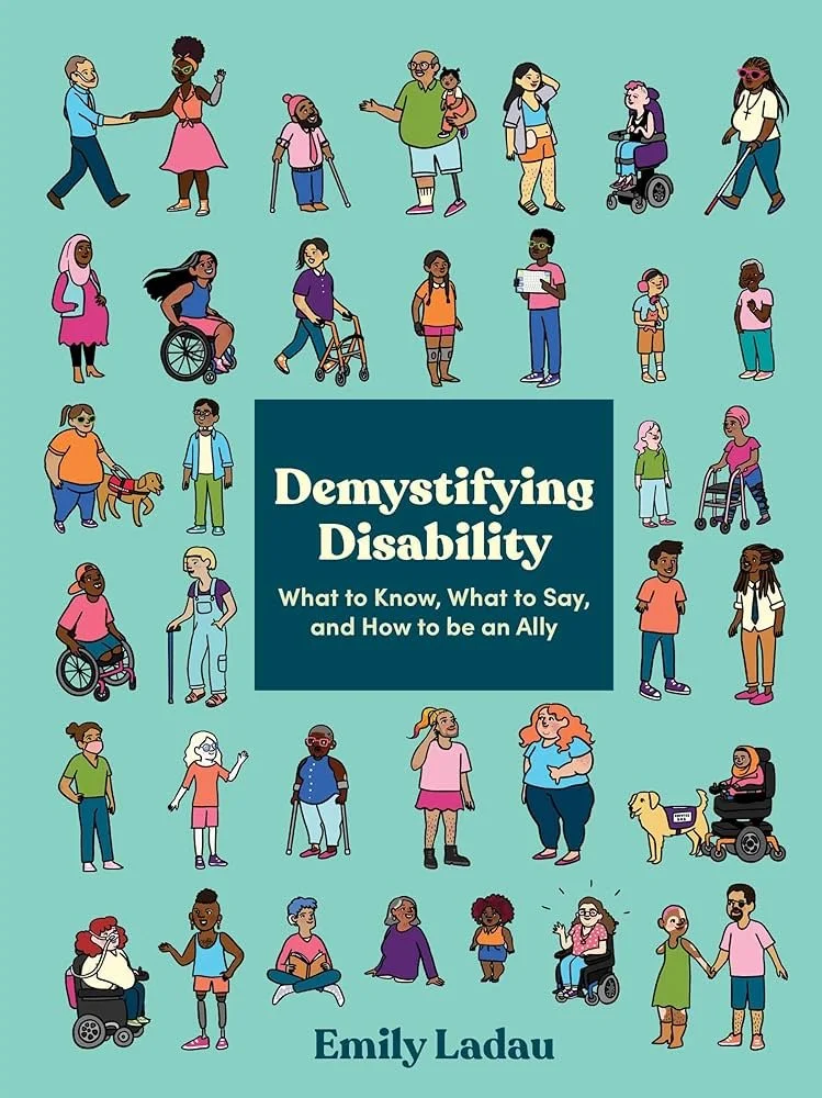 Demystifying Disability (Cover Image).jpg