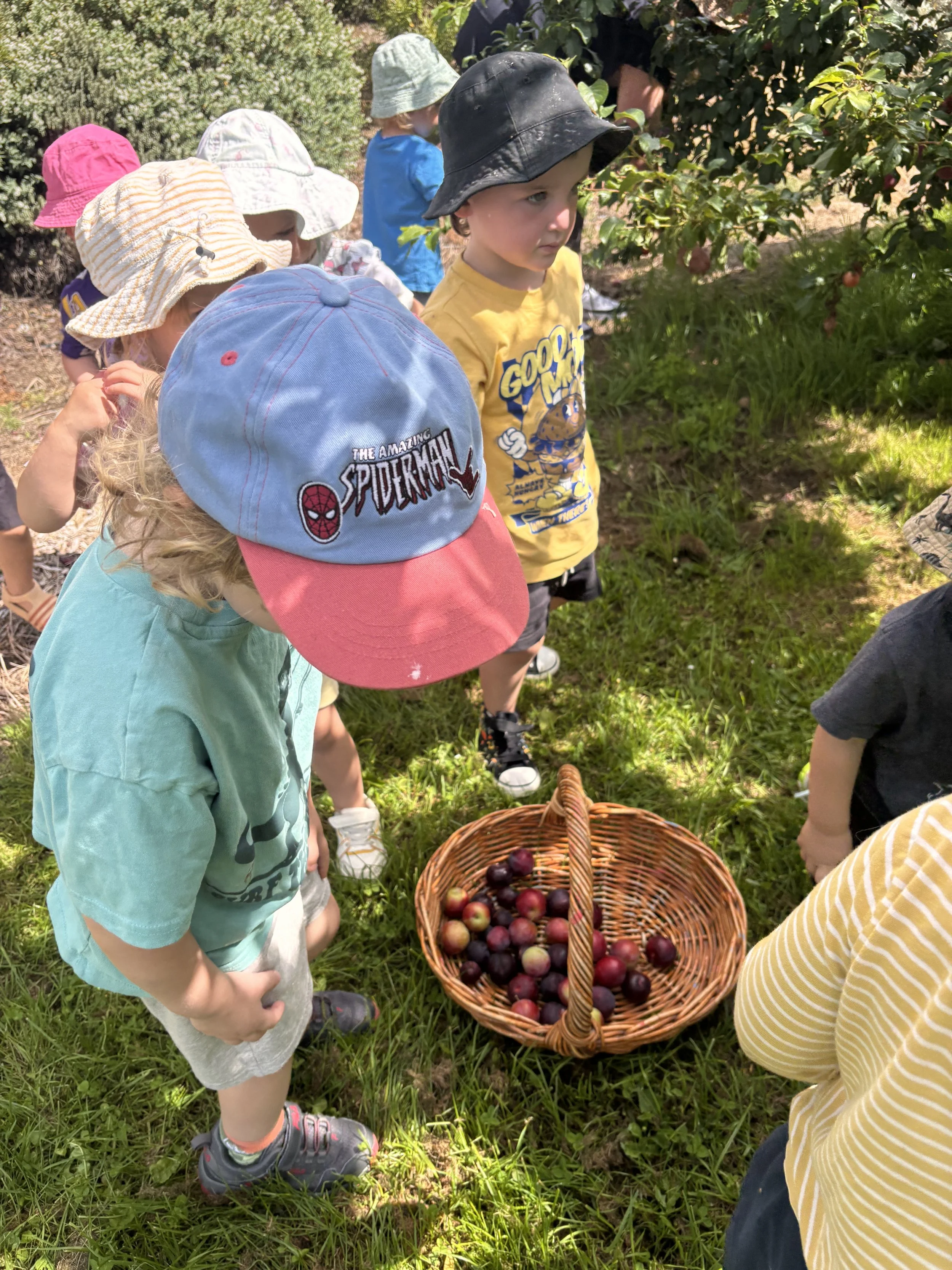 Te Ngahere (Forest Classroom)