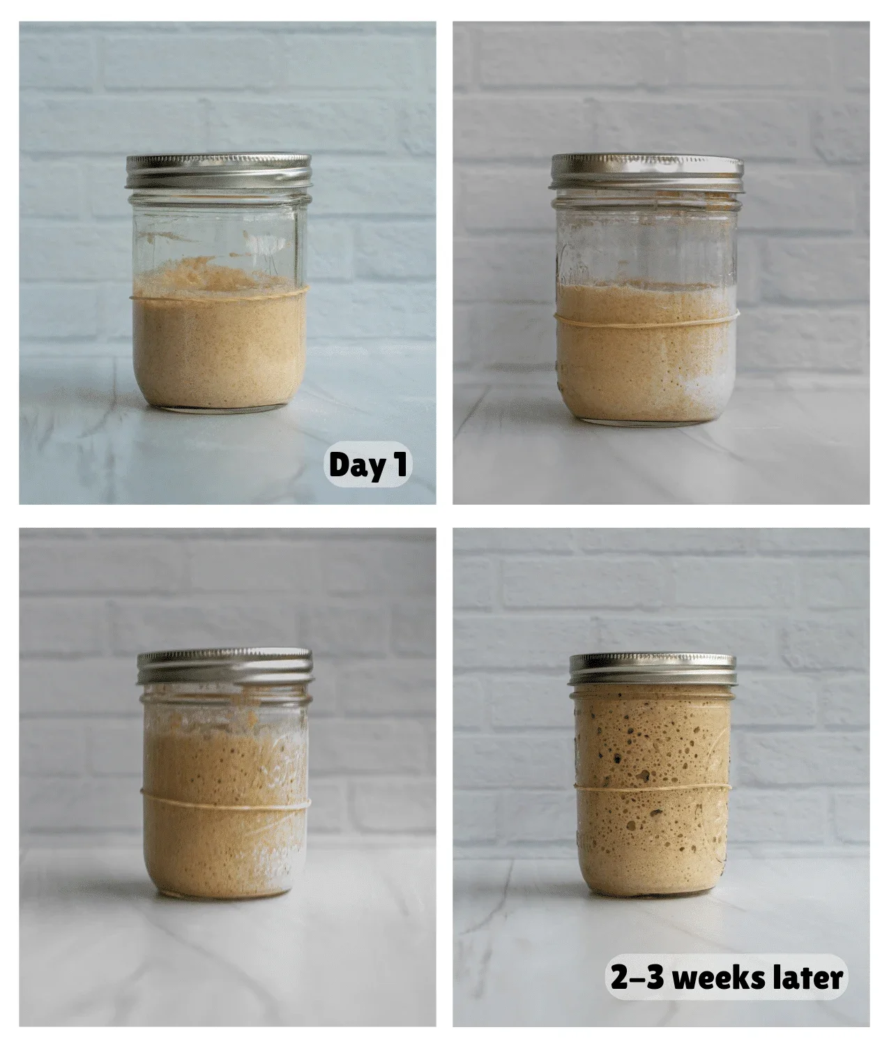 Create your own starter!