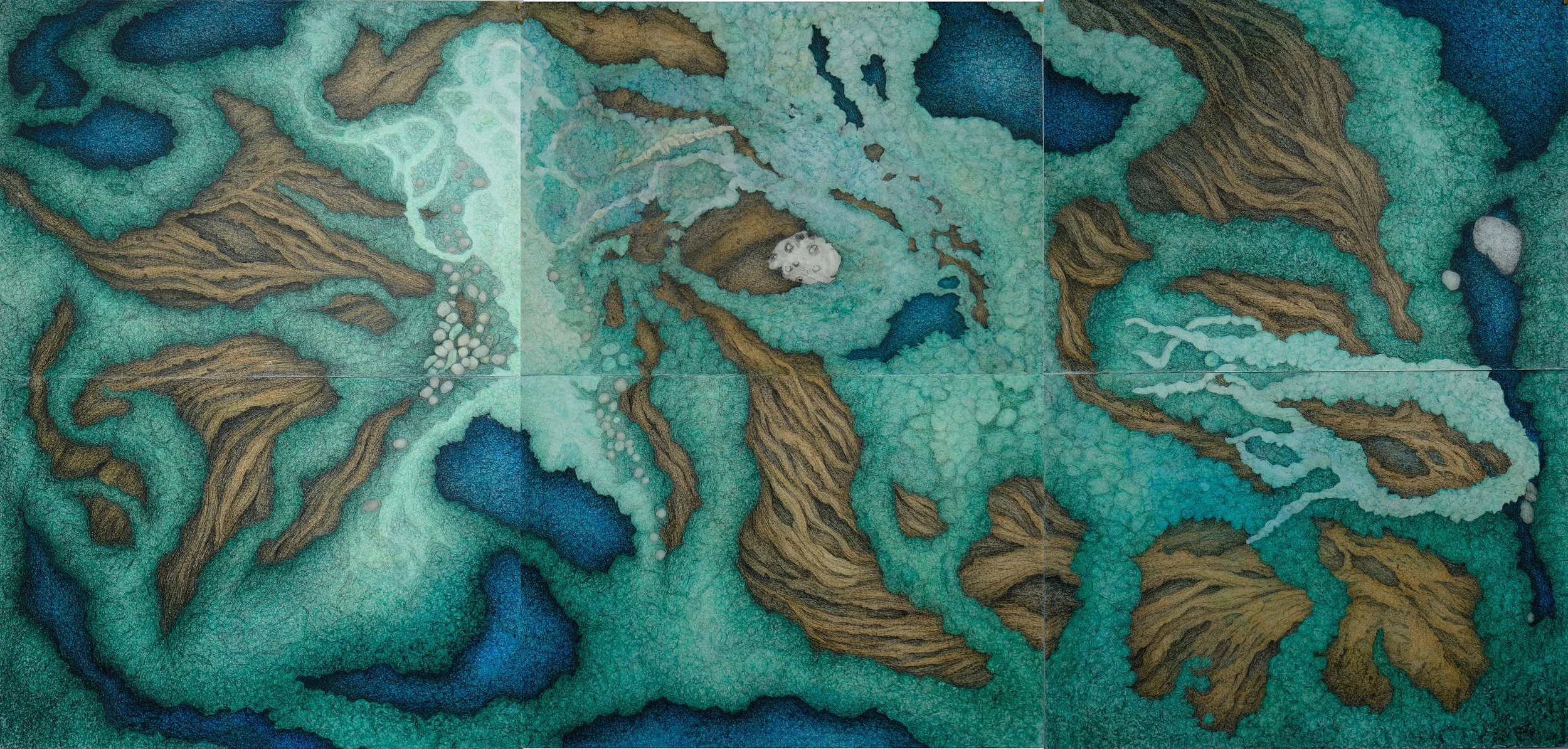 Birds Eye View 2024 Web.jpg