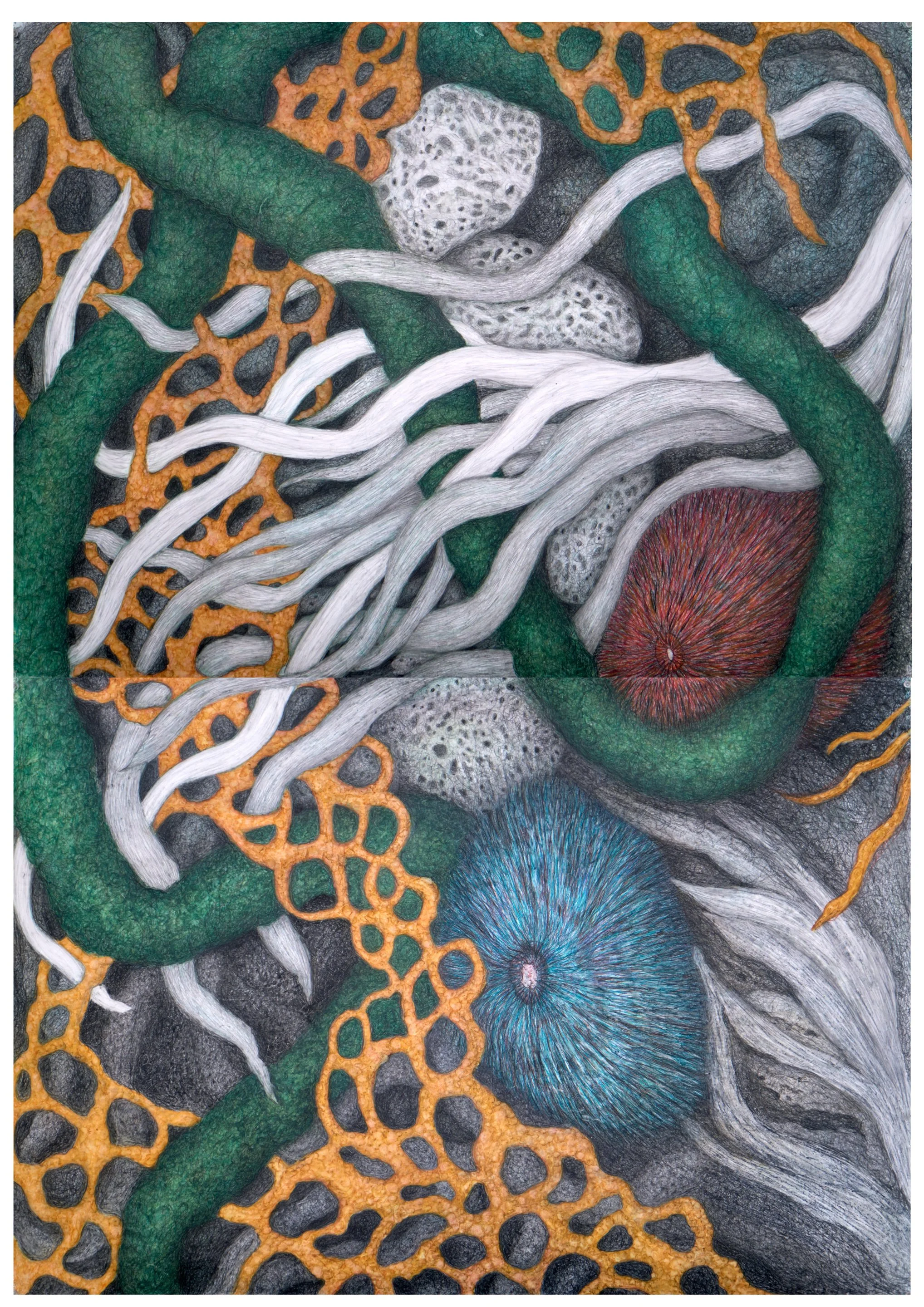 Beyond Reach 2025.jpg