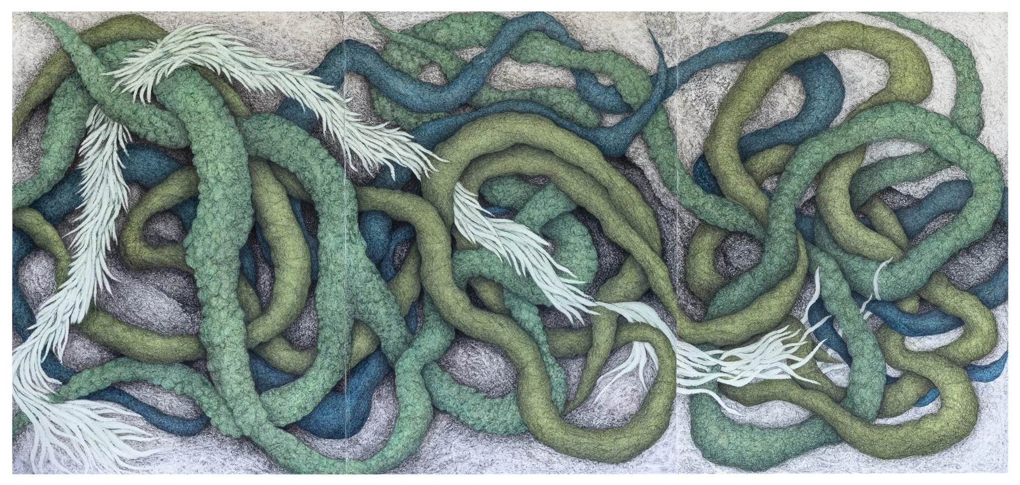 Twisted Tendrils 2024.jpg