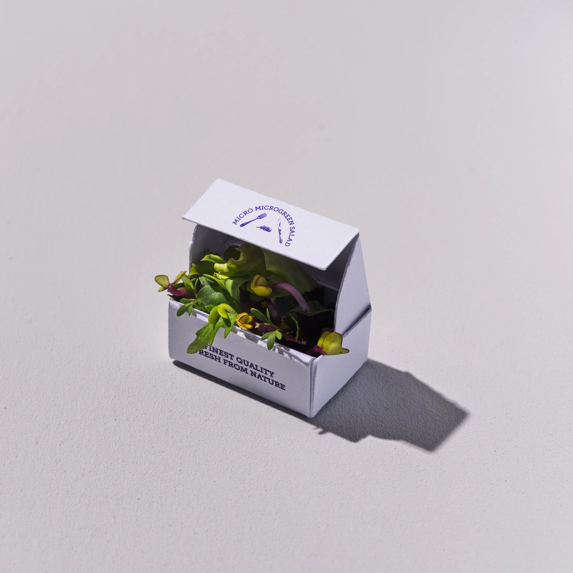 UEAT_008.jpg