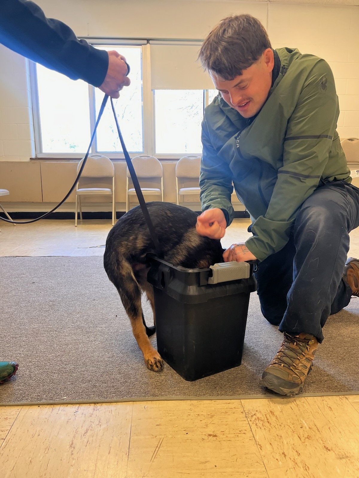 young pup at a working seminar