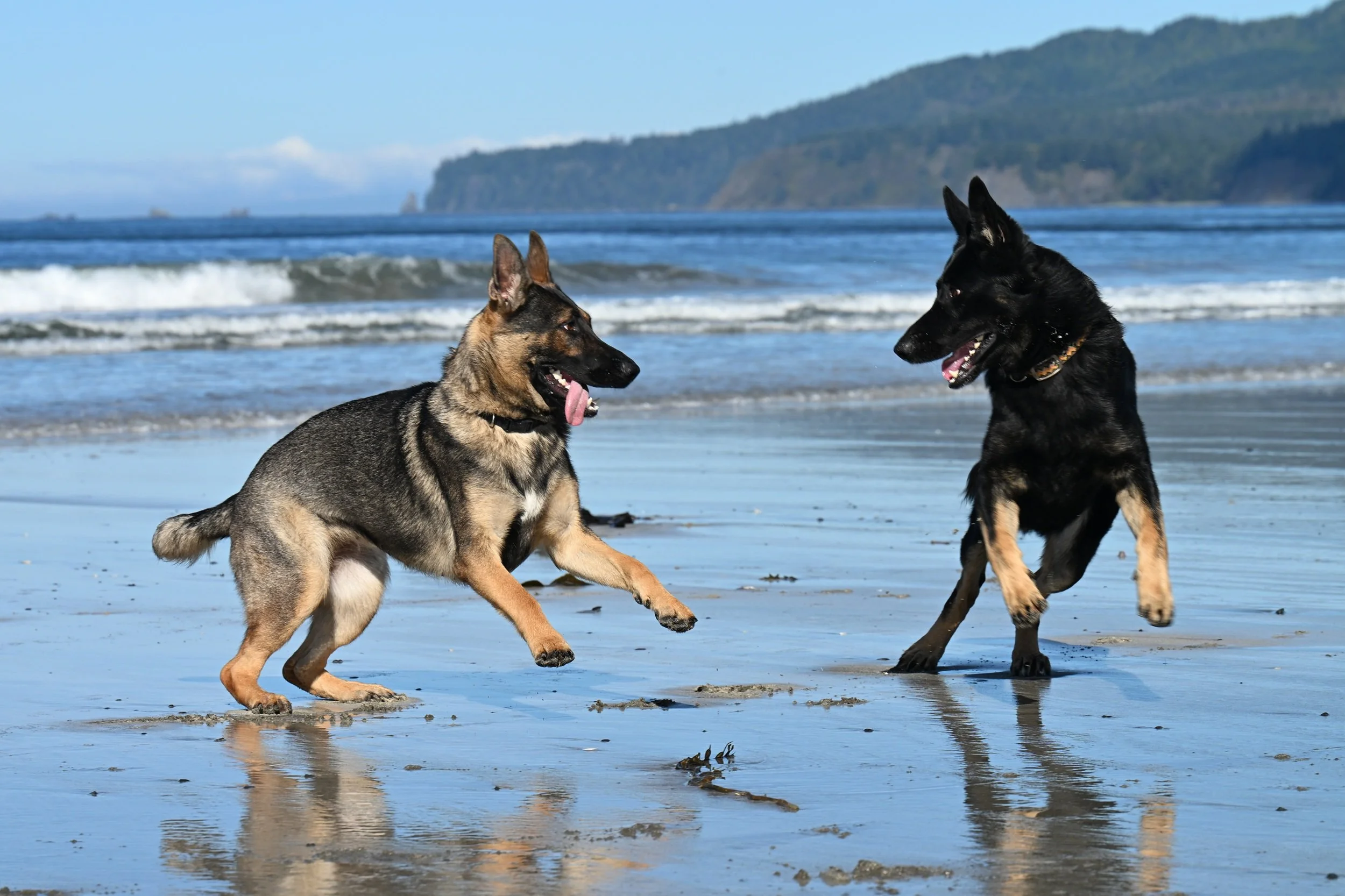 These two had so much fun, a very happy place!