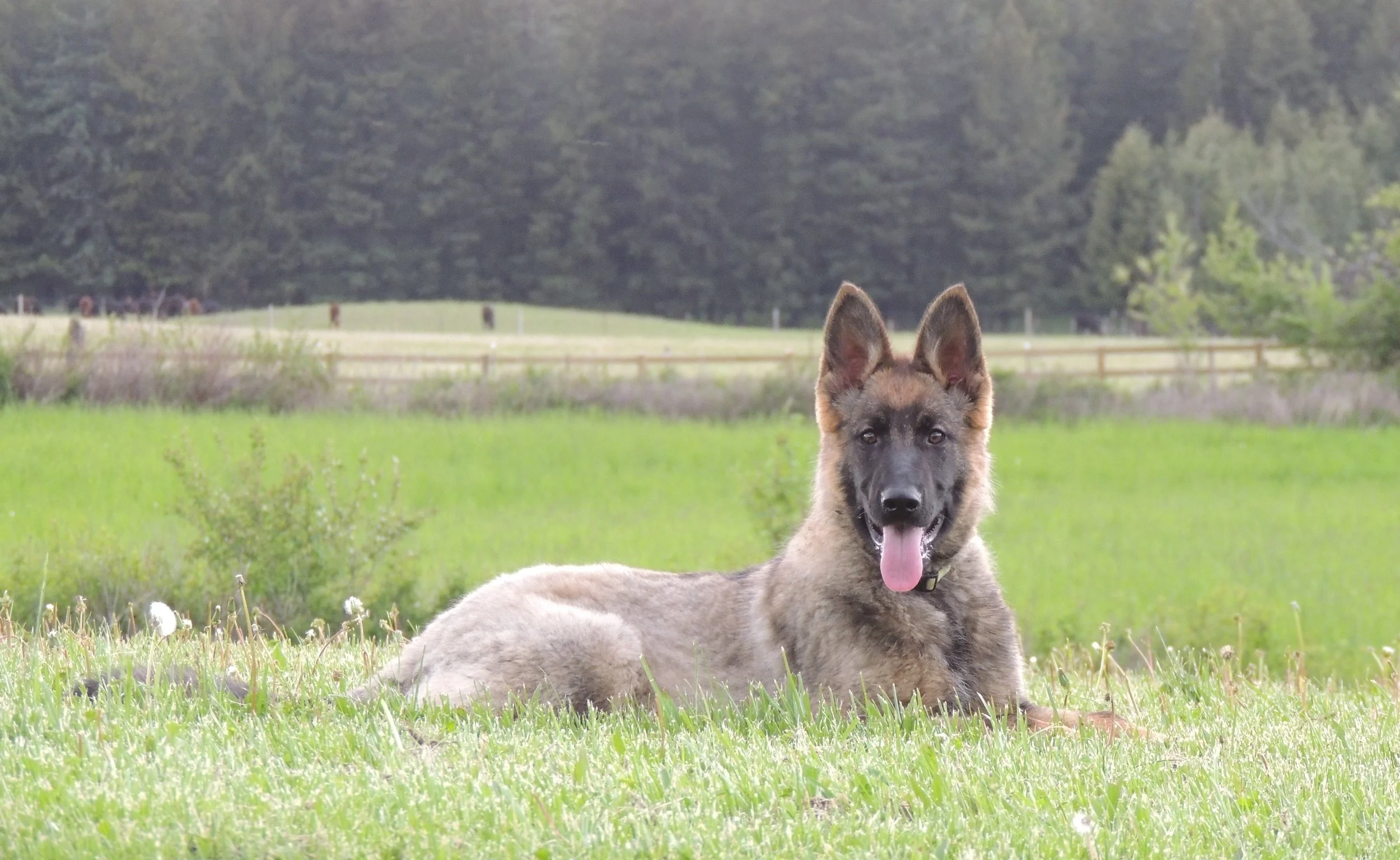 DSCN3329.JPG