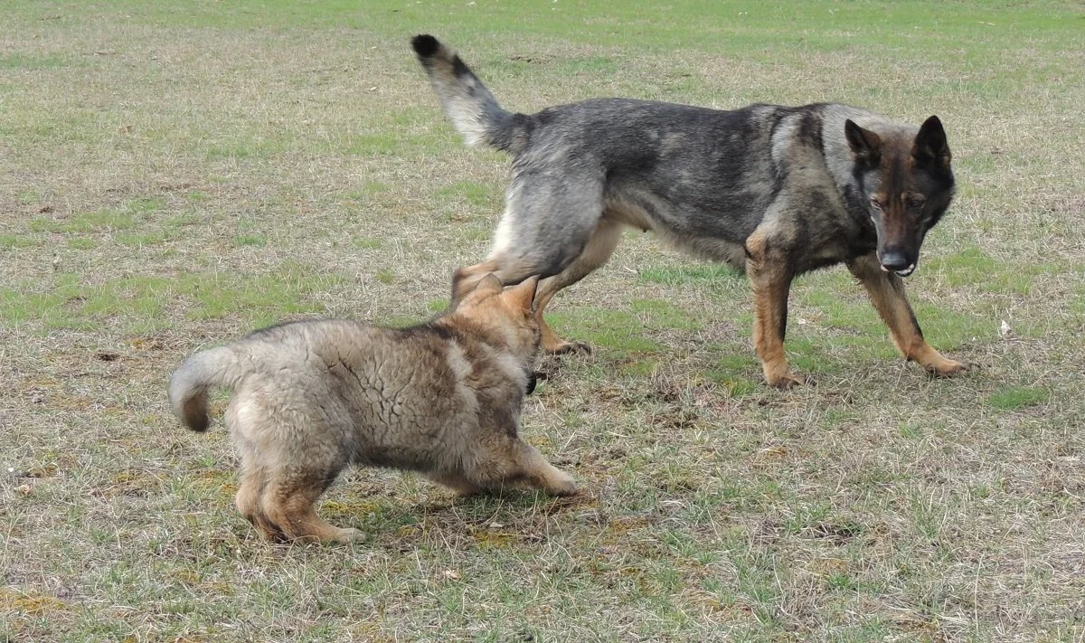 DSCN1503.JPG