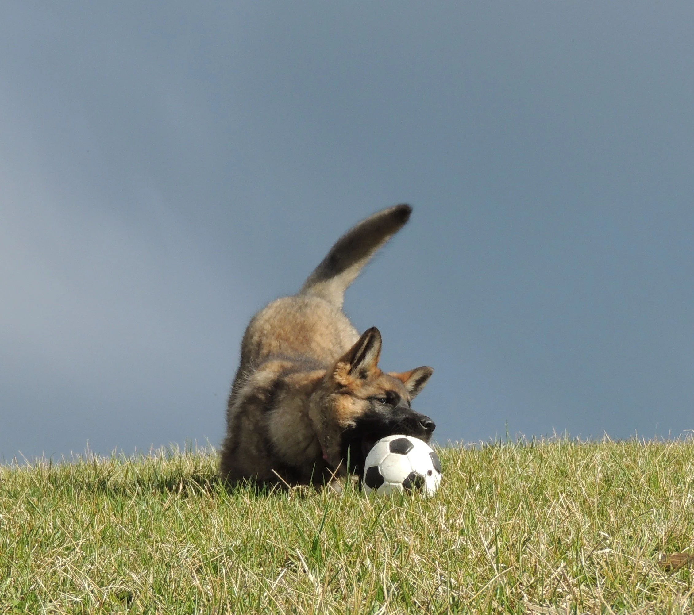 DSCN1738.JPG
