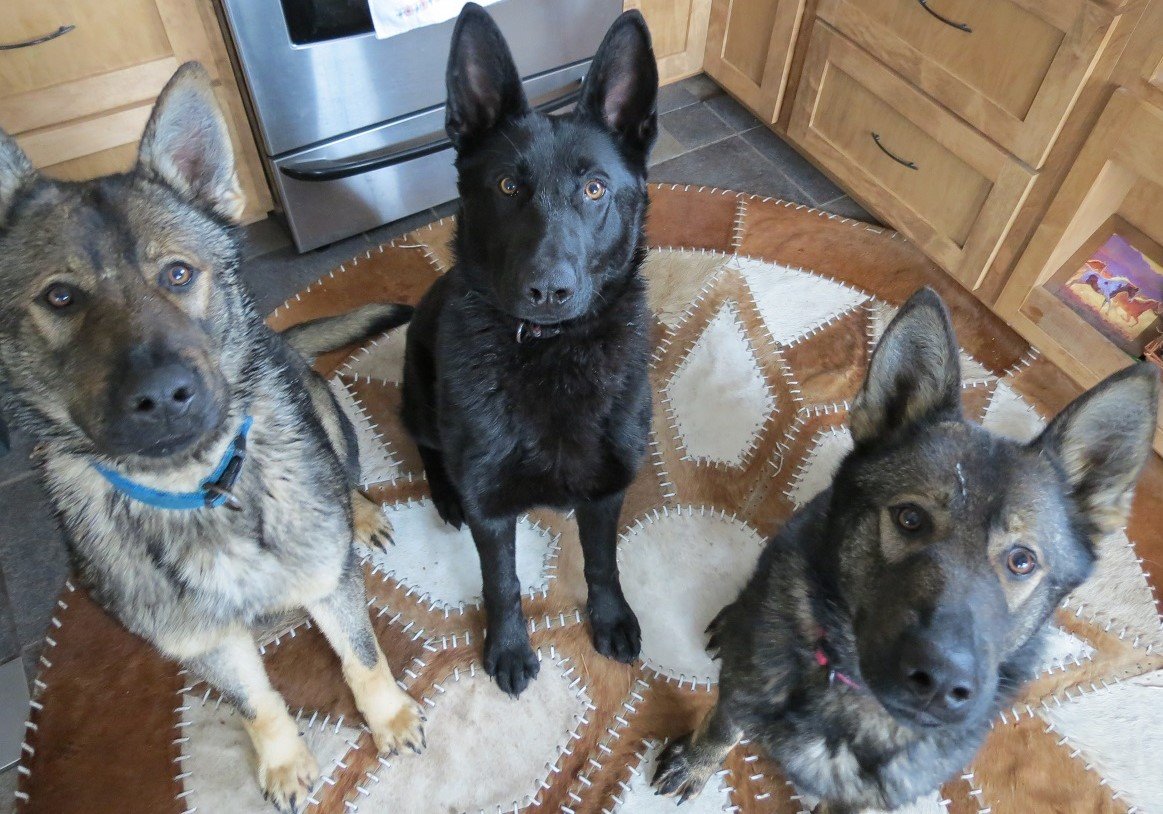 Kona Zena Na Pali.JPG