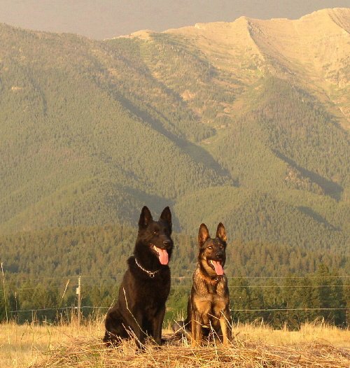 LARY RHEA MTN SIT LG.jpg