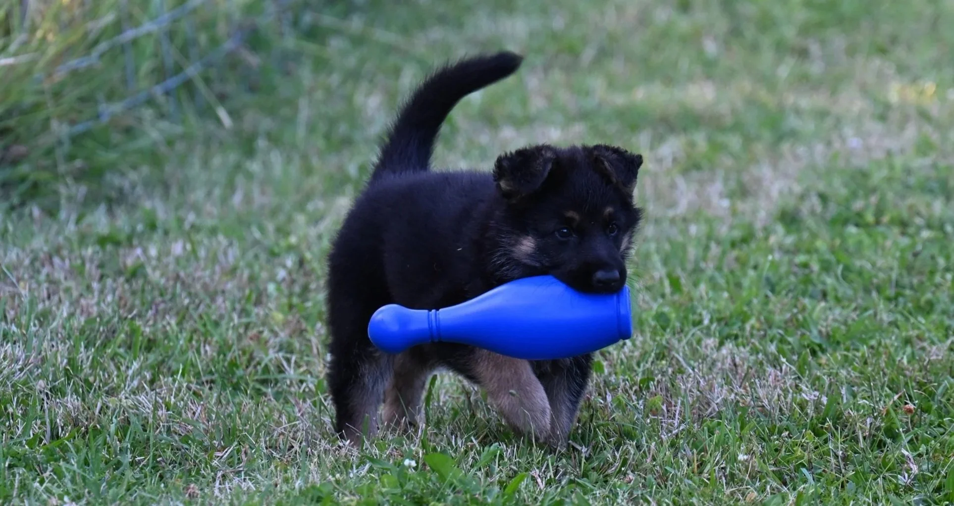 DSC_1517+u.jpg