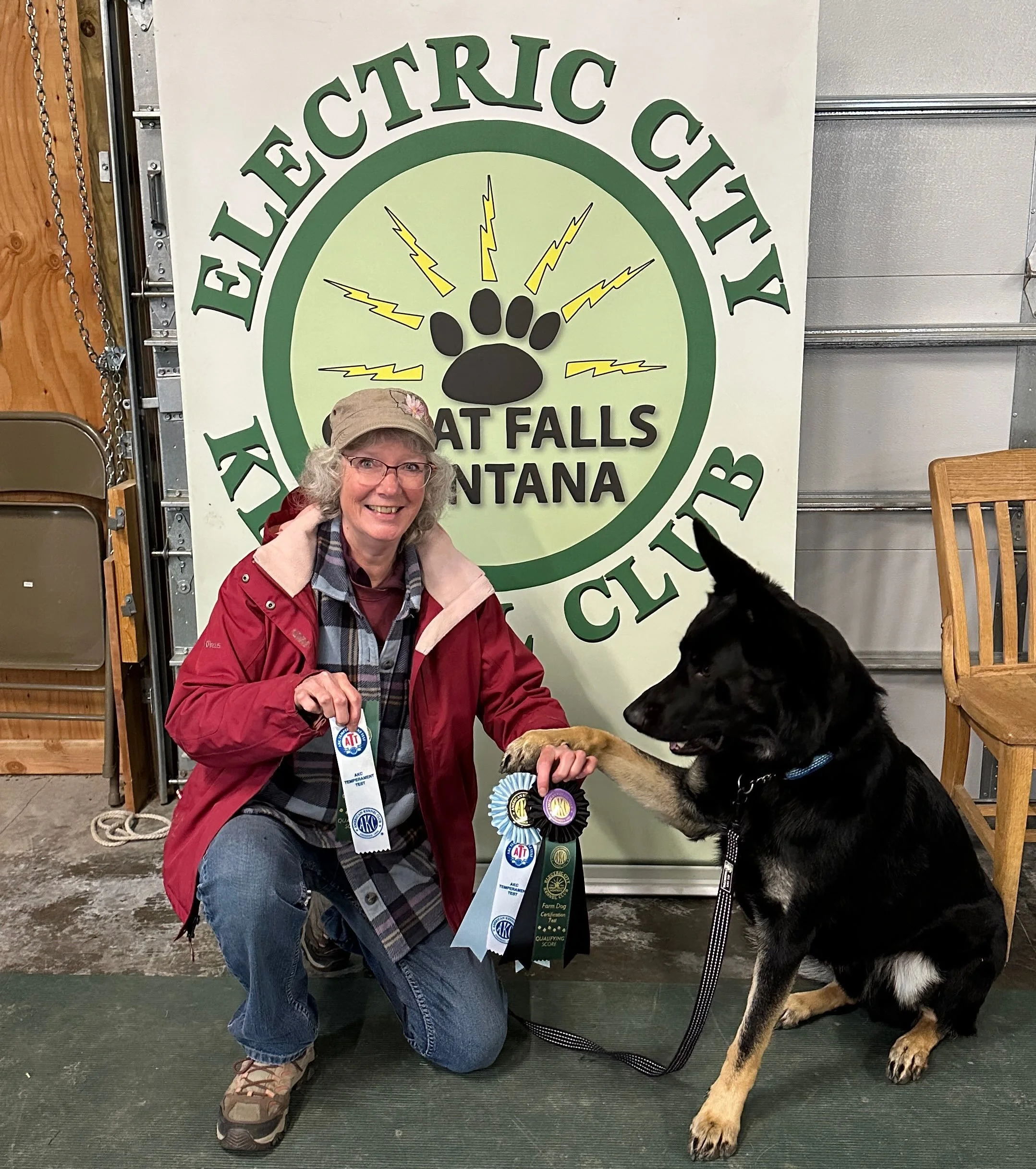 Another fine offspring of Xurk and owner who have just added a Temperament Test title ATT & FDC Farm Dog certification to their long list of accomplishments!