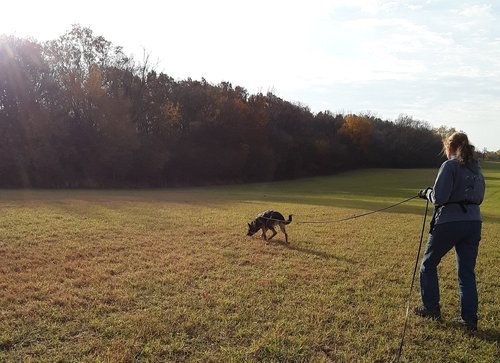 20241029_090351.jpg