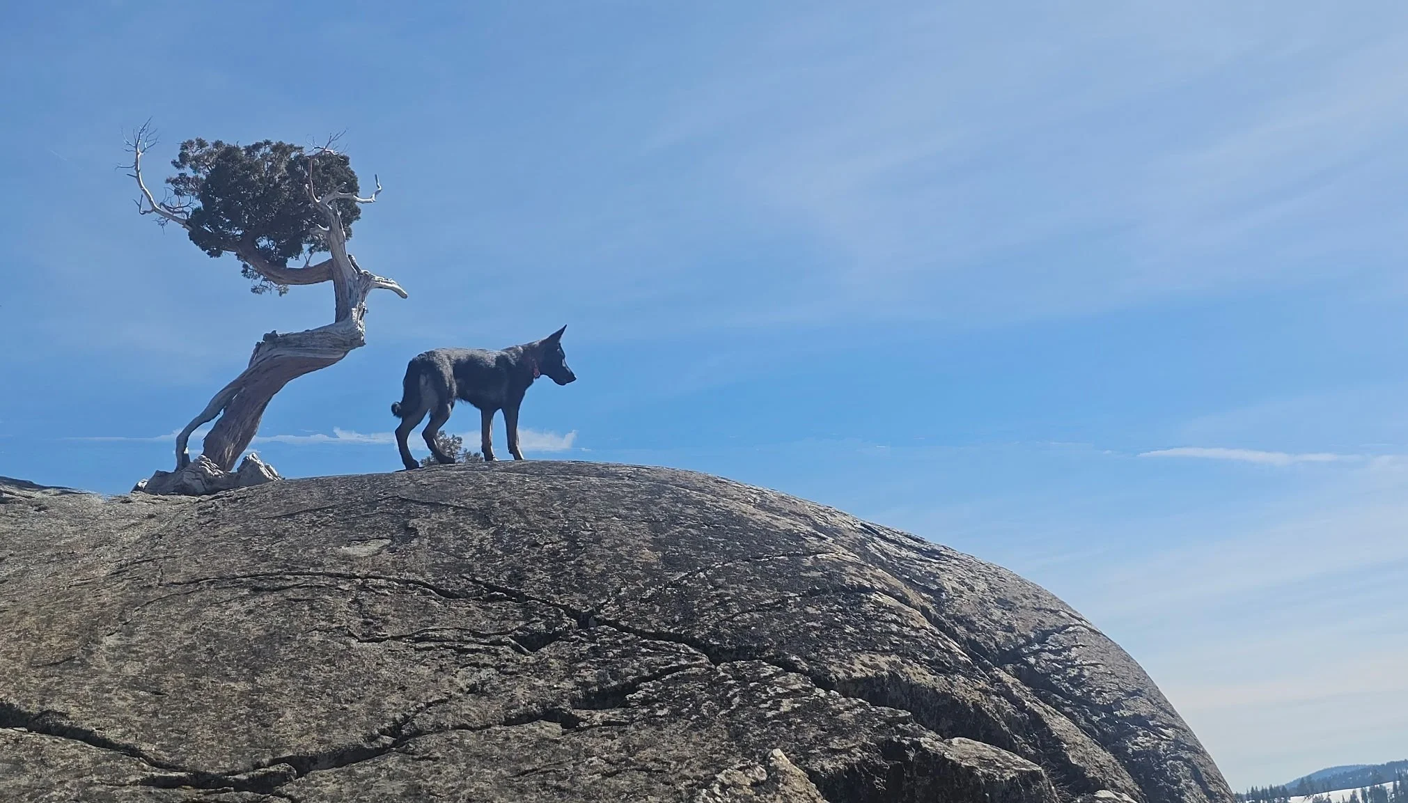 A lovely, adventurous daughter of Ulka & Yves.