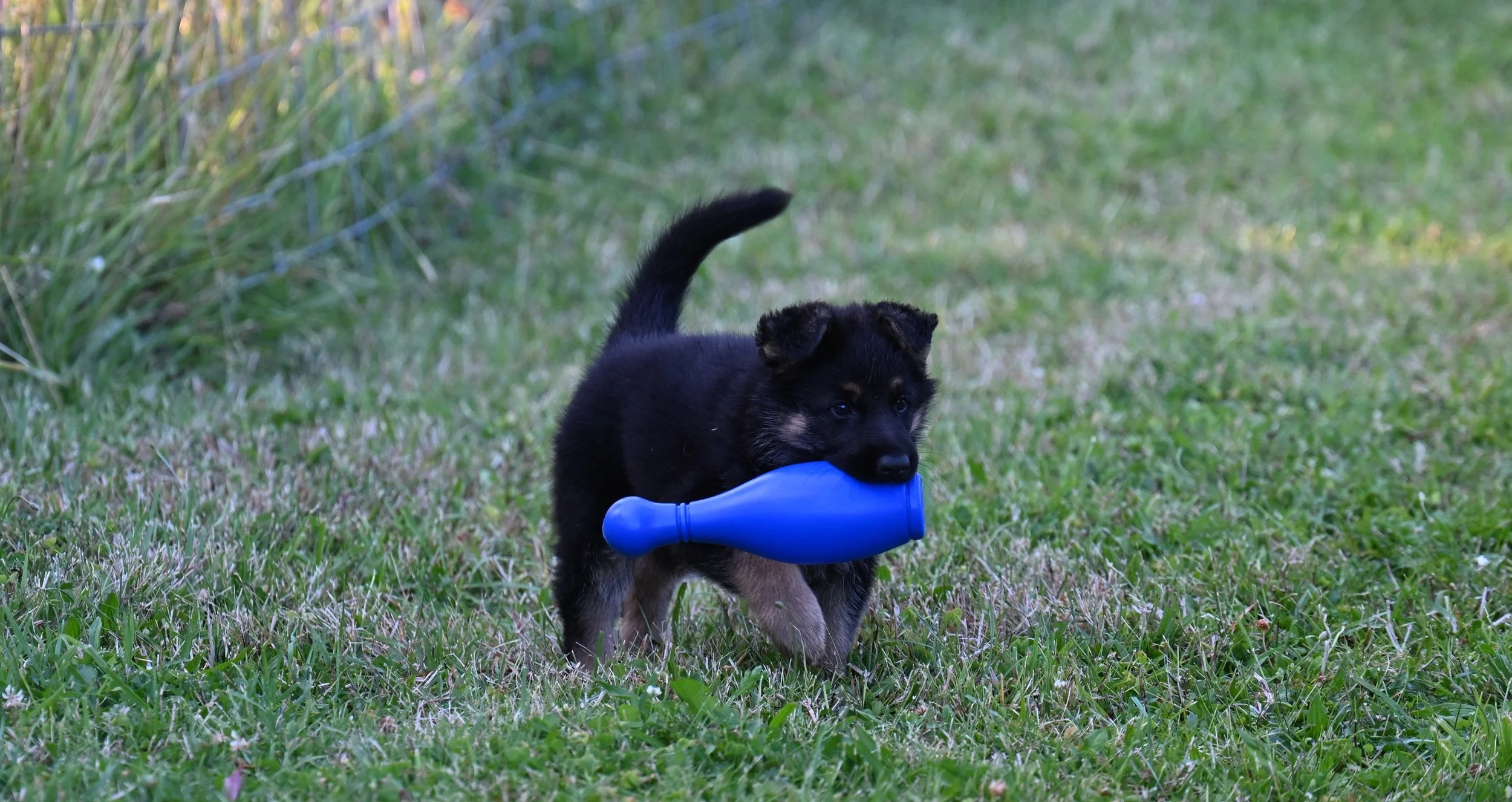 DSC_1517 u.jpg