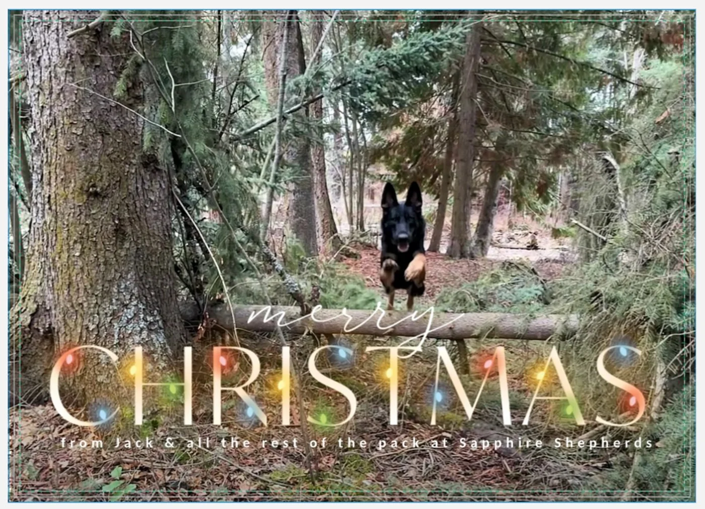 Wishing you a peaceful & fun Christmas!