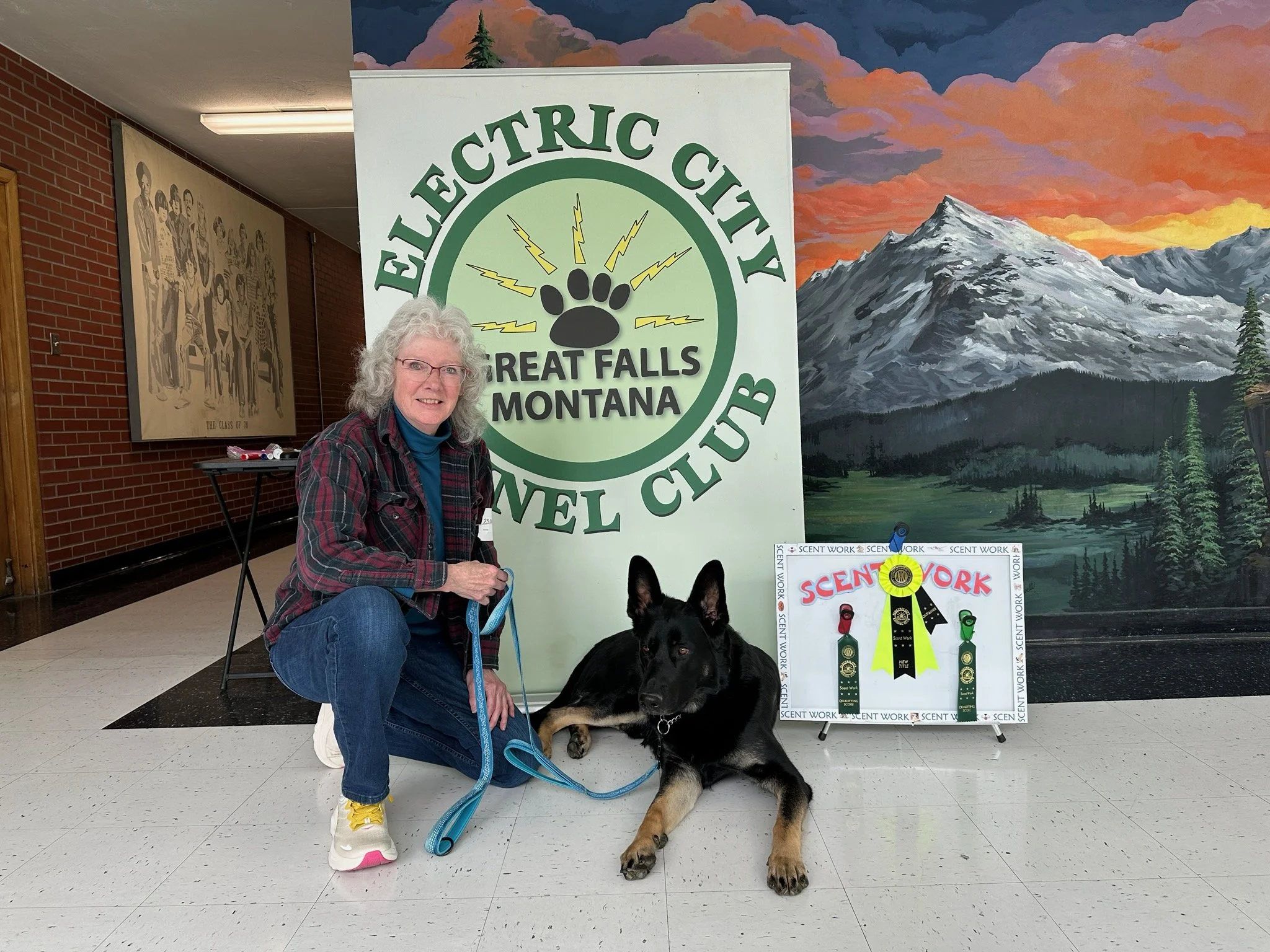 New titles & qualifications earned over the past 2 weeks to add to their long list of accomplishments.  This healthy, handsome, hardworking male is not yet 2 yrs of age!  Cindi & Kobuk.