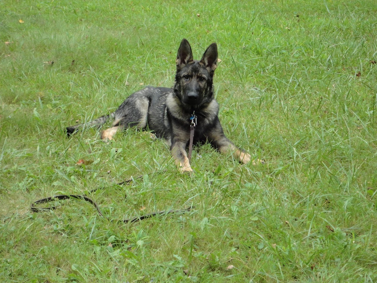 DSC00033.JPG
